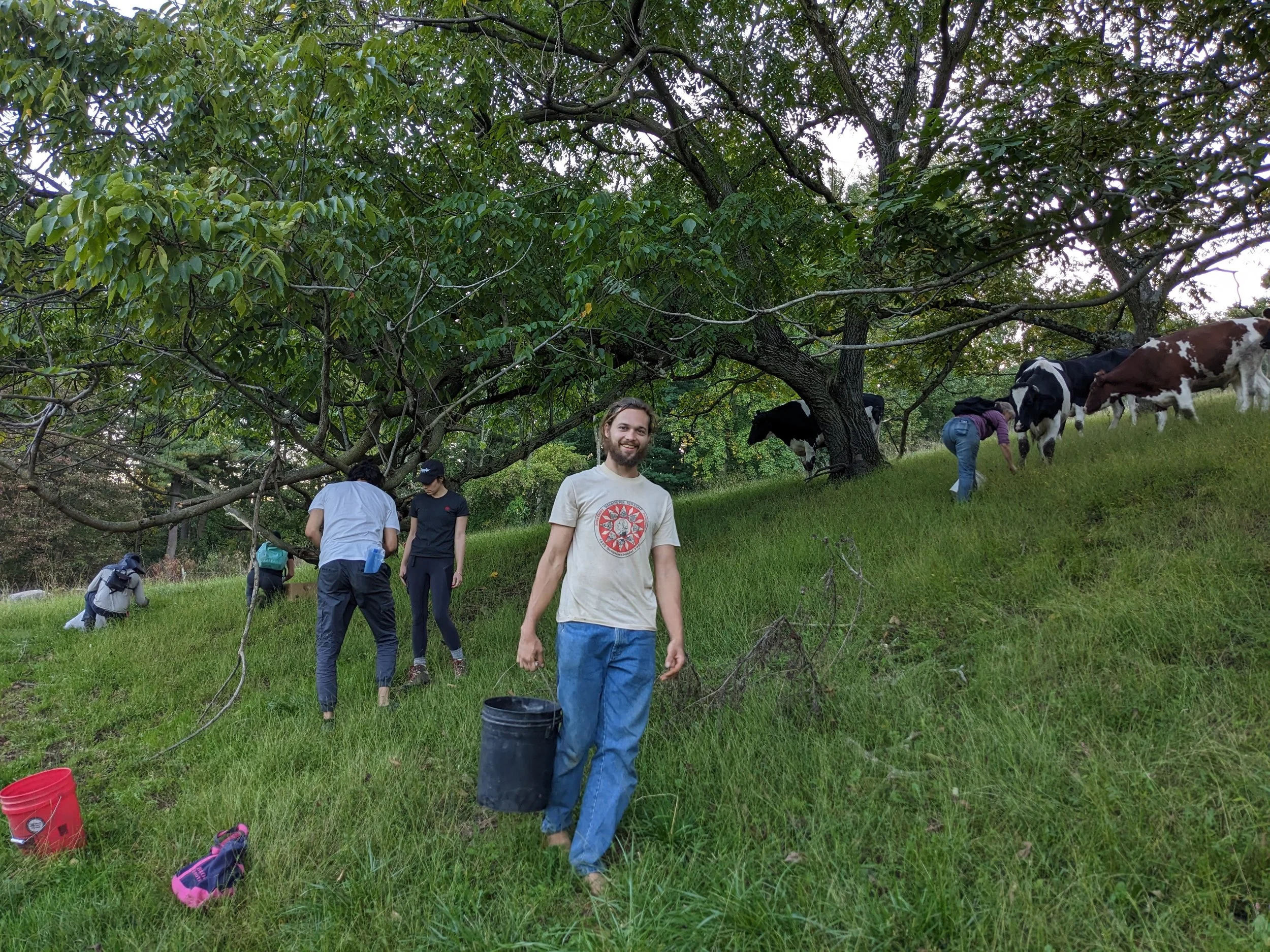 Harvesters in a field. Zach walking towards the camera