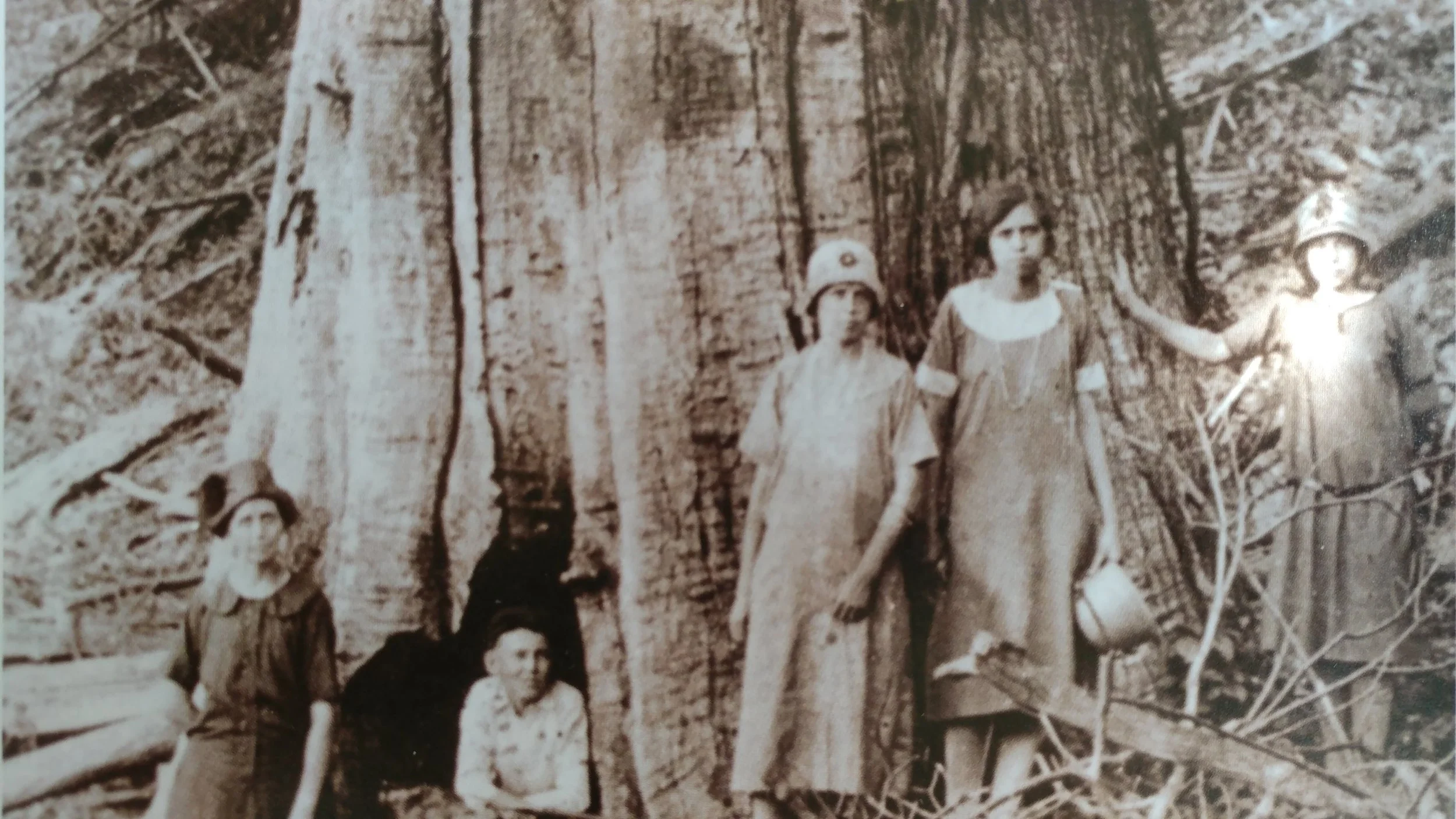 old image of people around large tree trunk