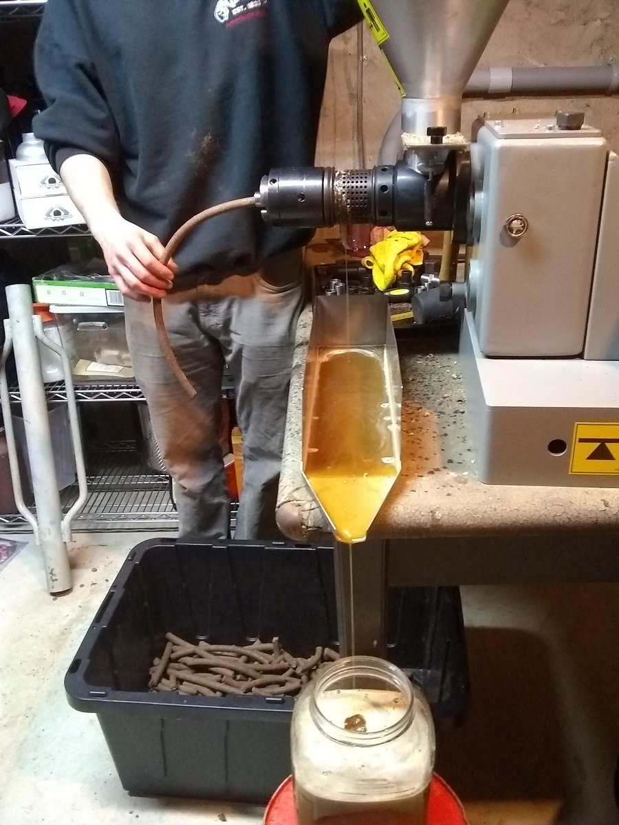 A person operating an oil press. Pressing hickory oil from a funnel into a jar.