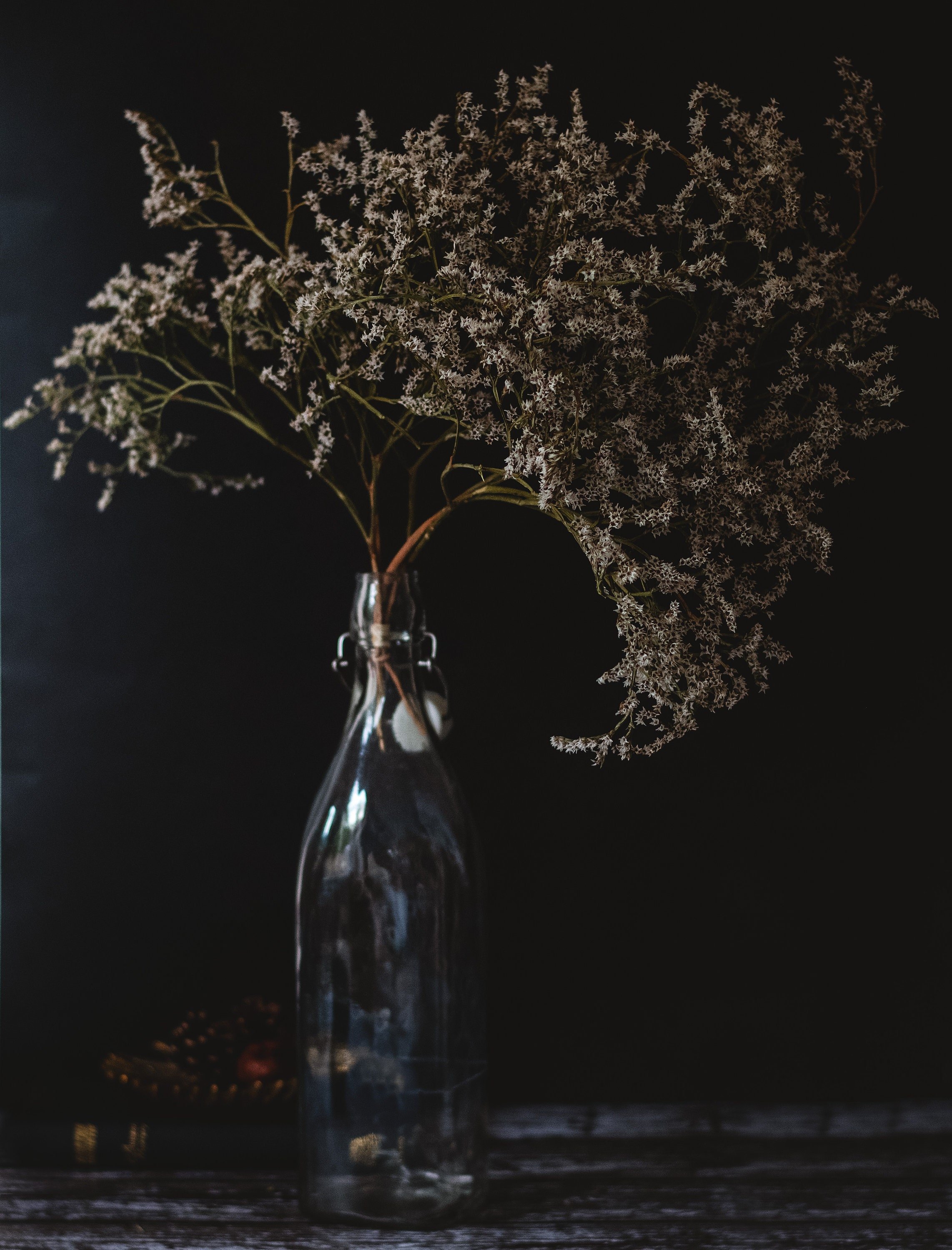 dried and floral statice tartarica bunch in clear glass bottle against black backdrop