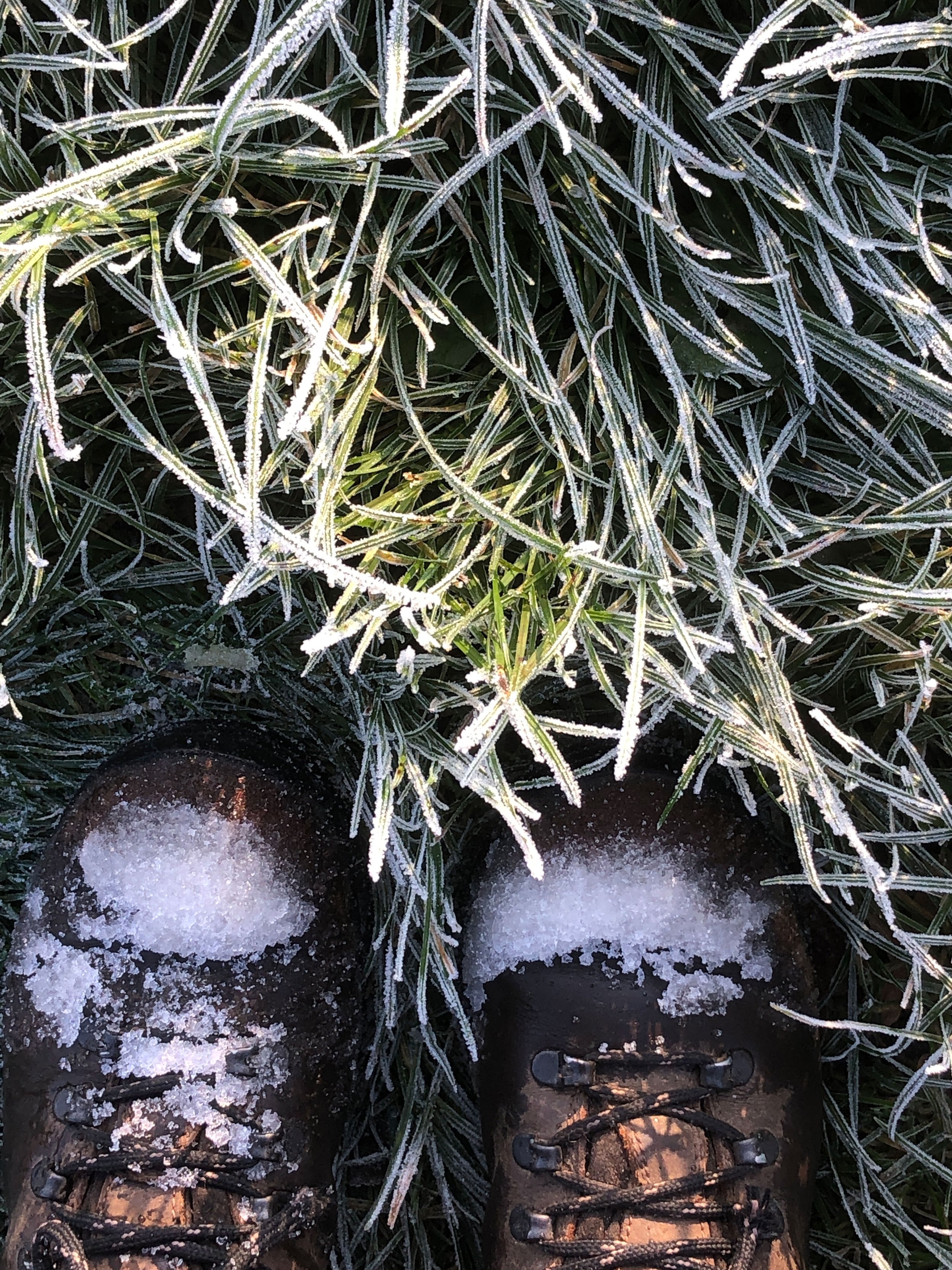 winter-boots-driedandfloral.jpg