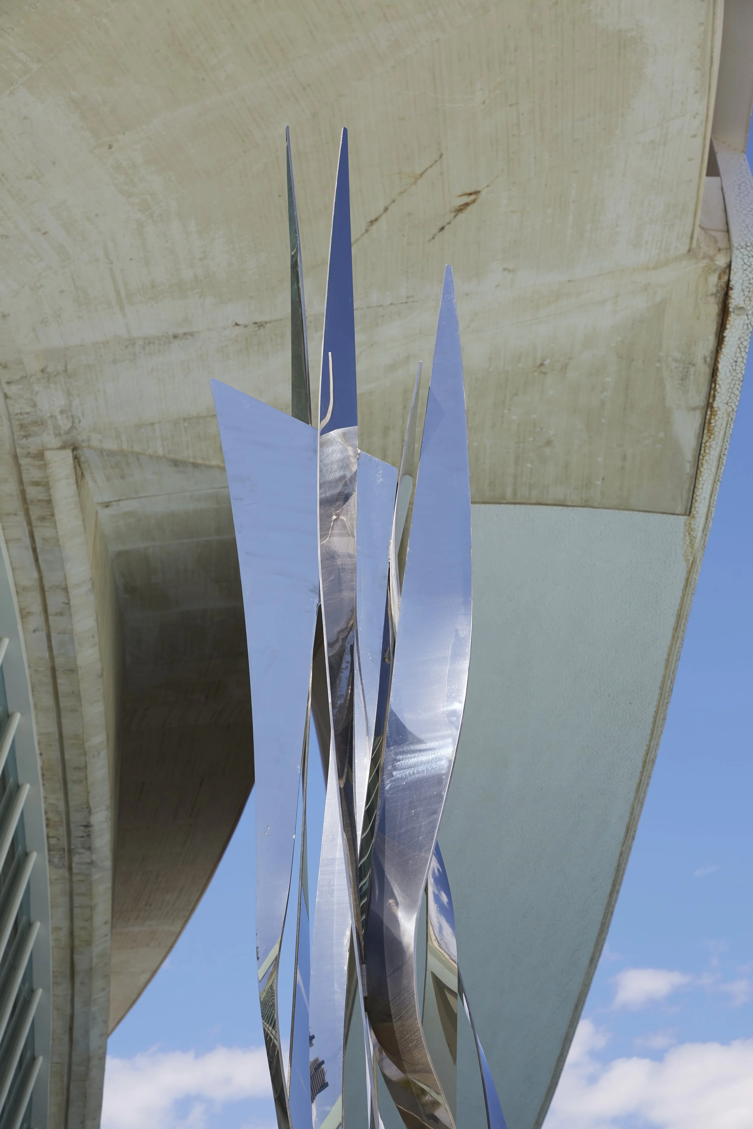 _SX15471.jpg