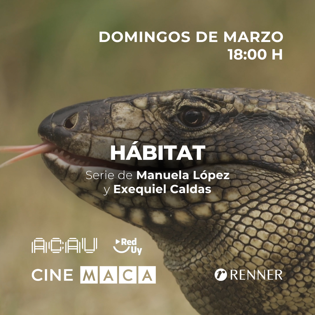 CINE: Hábitat