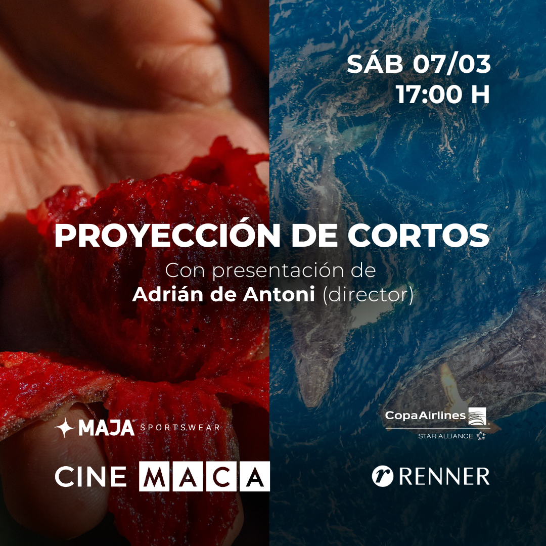 CINE: proyección de cortos con presentación de Adrián de Antoni