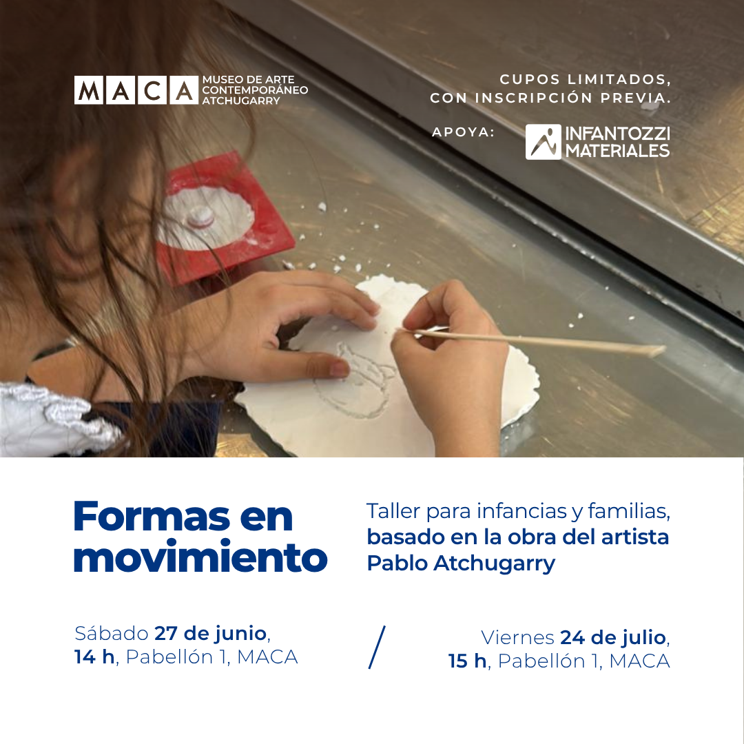 Formas en movimiento: Taller sobre PABLO ATCHUGARRY