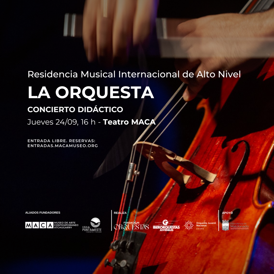 CONCIERTO DIDÁCTICO - LA ORQUESTA