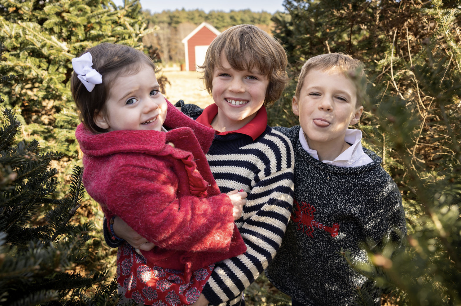 Screenshot 2024-11-20 at 11.47.34 AM.png