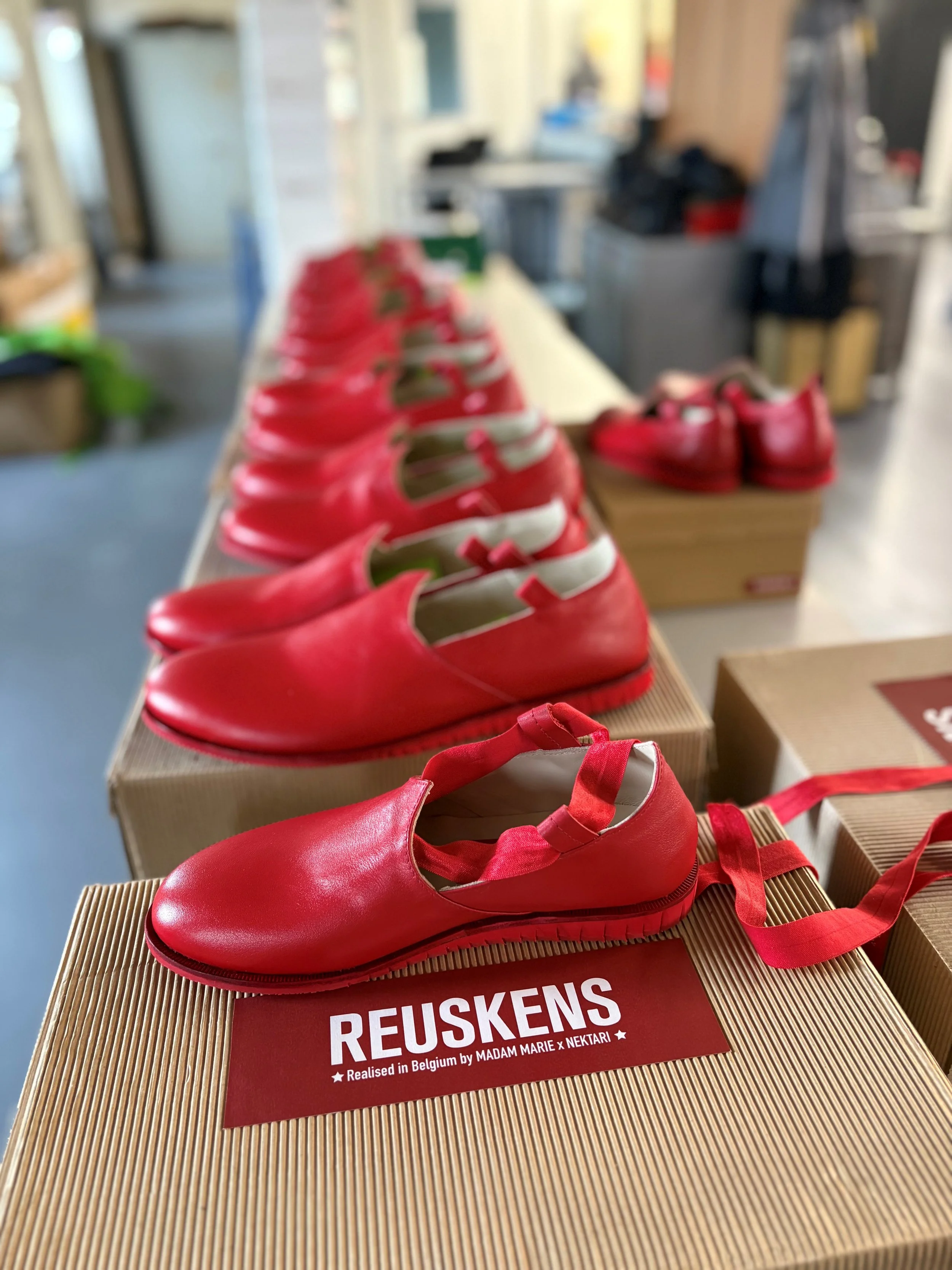 reuskens_rij.jpg