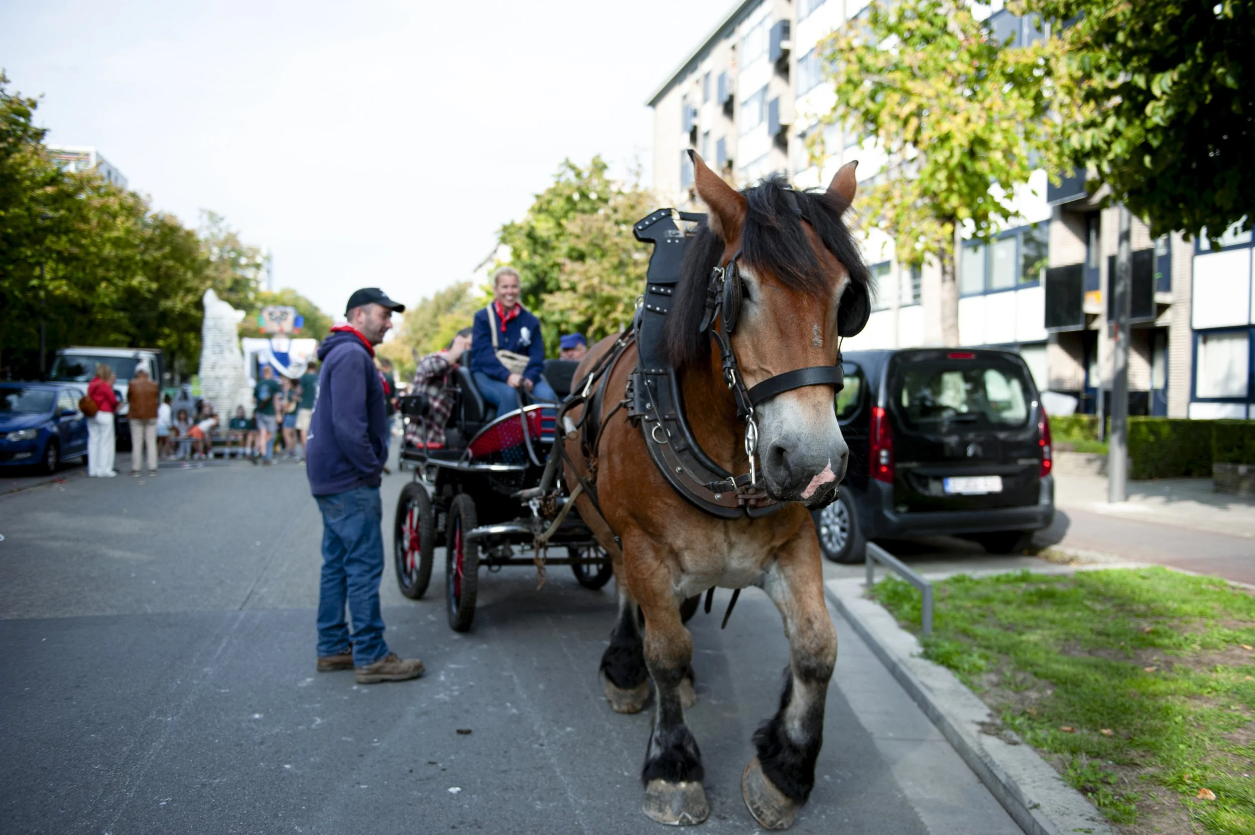 Reuzekesstoet 2026__DSC4486_Paulien Verlackt_64.jpg