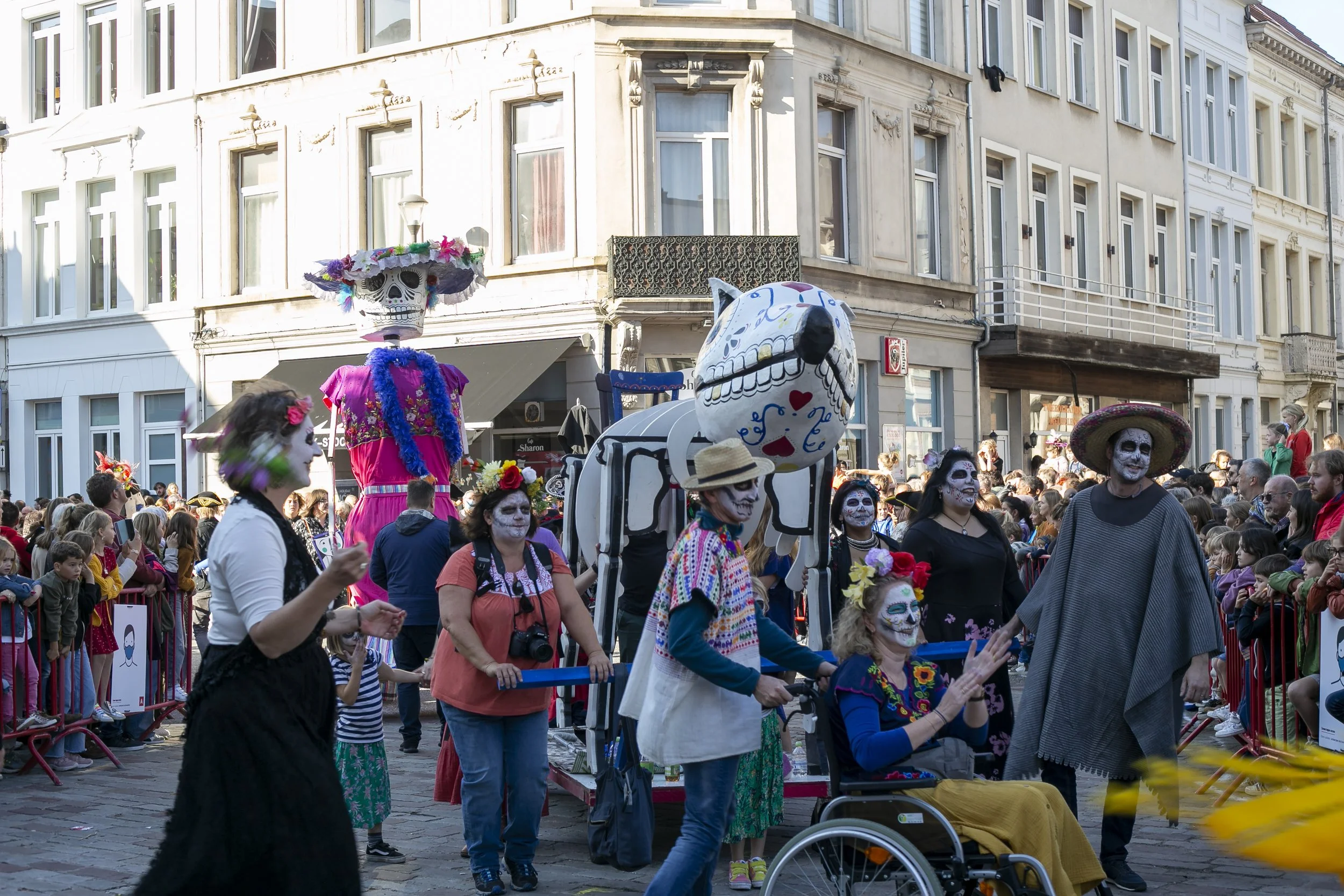 Xolo samen catharina reuzenstoet borgerhout moorkensplein stoetloper.jpg