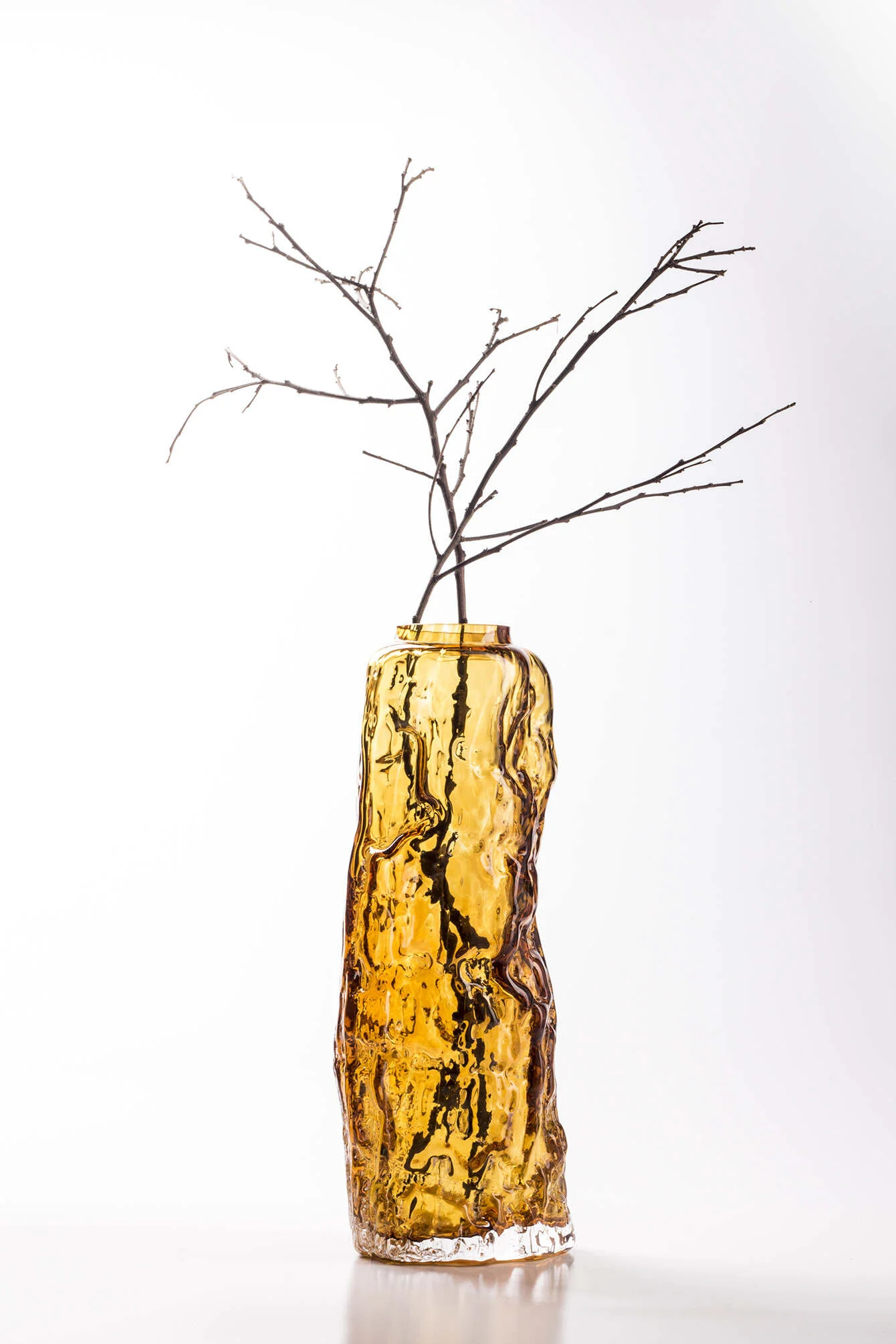 ⧫ Nature speaks to Samuel Reis ⧫