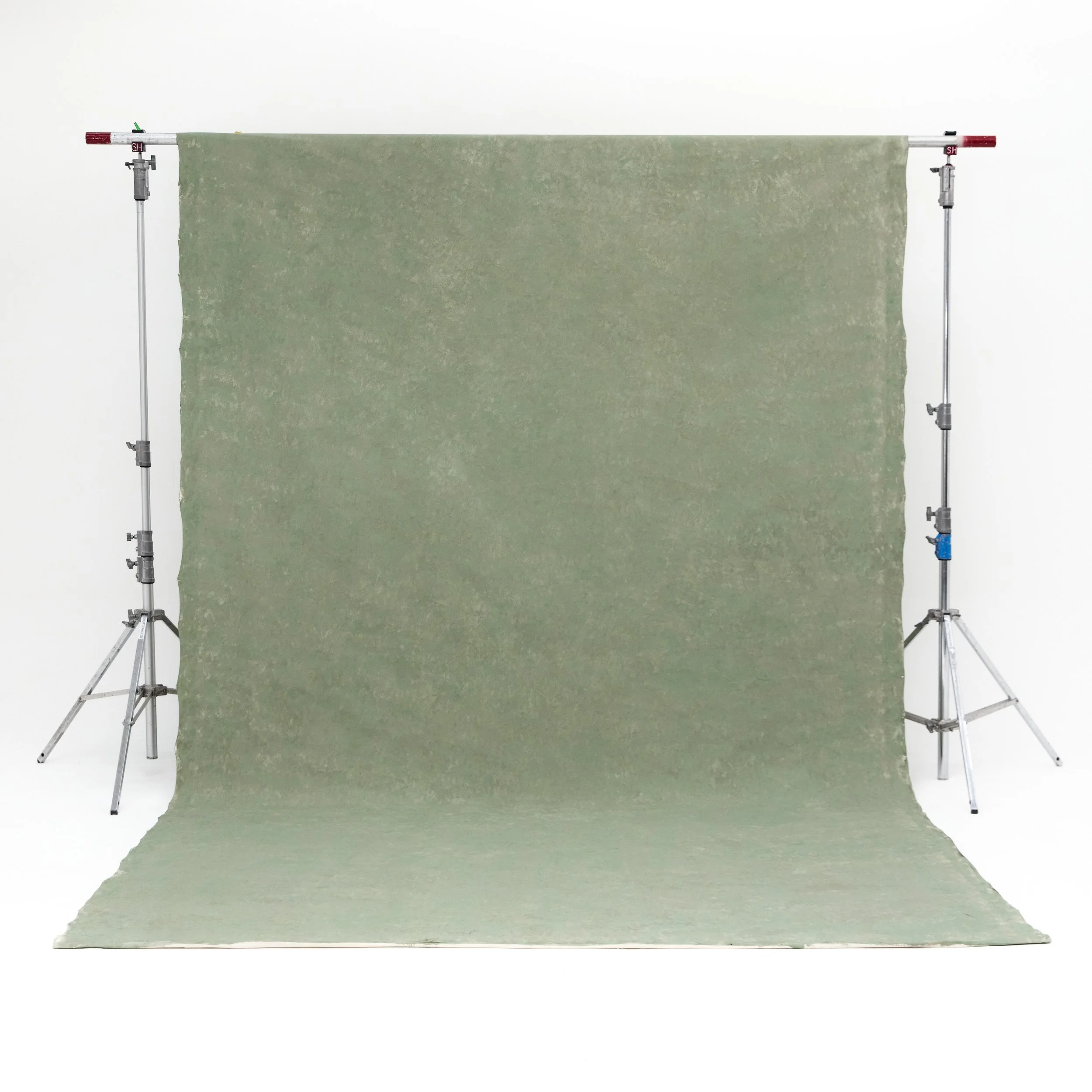 EUCALYPTUS
H500cm x W300cm