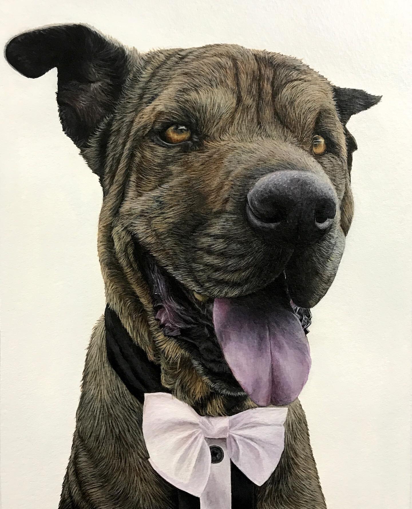 Meet &lsquo;Dozer&rsquo;! 🐶 - 8x10&rdquo; Acrylic 

Had a lot of fun bringing this guy to life, and In love with his large grin and cute formal wear 💜 

He is the first of two paintings commissioned - the 2nd will be completed in the next month. Ca