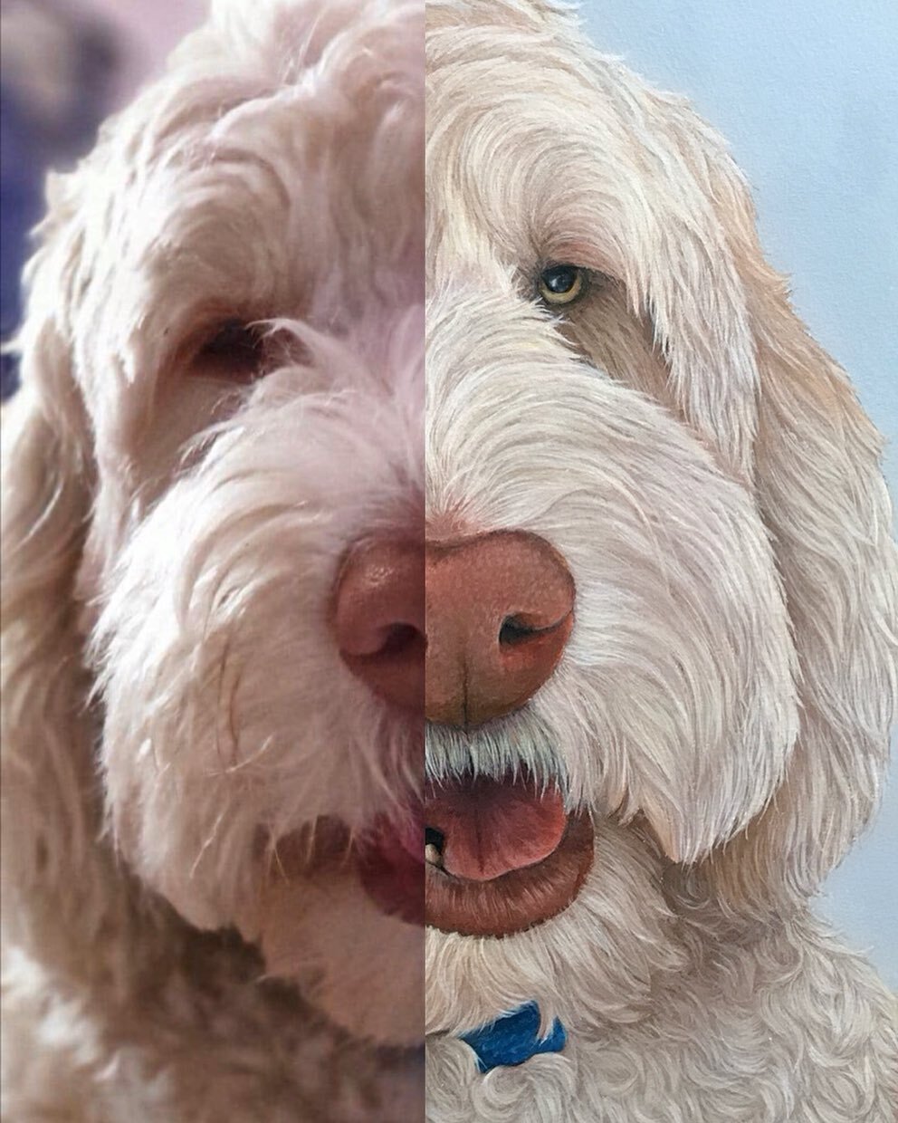 Side by side - &lsquo;Albus&rsquo; 

Worked with a few reference photos for this piece to bring out his eyes and get his fur colour accurate 🐶

Cant wait till May when I can share some new surprise commissions! Hope everyone is having a lovely week!