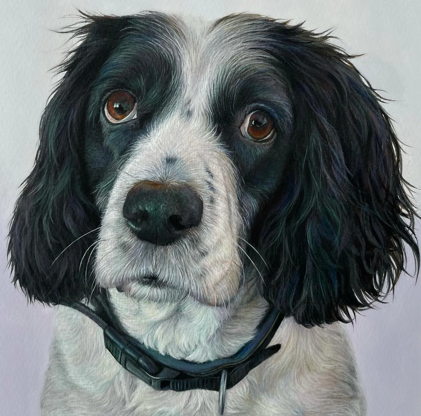 &lsquo;Max&rsquo; the springer spaniel - 8x8&rdquo; acrylic 

Hope everyone&rsquo;s having a good week 😊 
So happy to now reveal this piece which will be heading to Scotland! I am in love with how it turned out and he just has the sweetest expressio