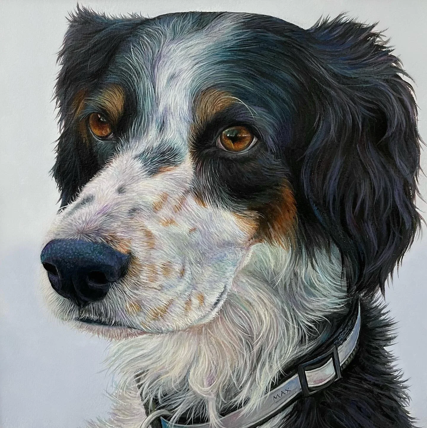 Finished painting of &lsquo;Max&rsquo; - 10x10&rdquo; Acrylic 

Such a handsome boy! I am in love with how his portrait turned out and had a lot of fun playing with the colours in his fur. The process was a real pleasure from beginning to end💜. 
I&r