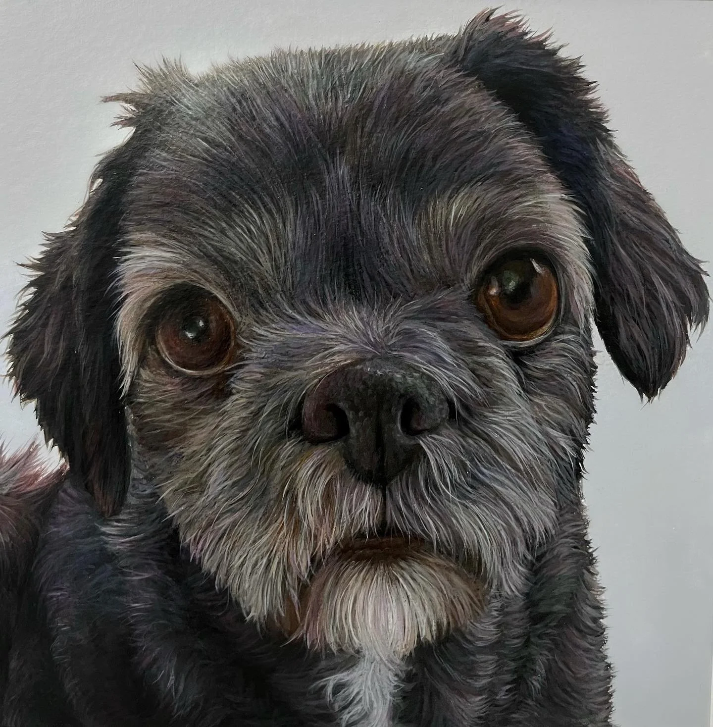 Here is &lsquo;Pixie&rsquo;! - 8x8&rdquo; Acrylic 

Another Christmas commission reveal! ☺️ This was such a fun one and I&rsquo;m in love with her big eyes - Her owners described them as being like a Disney princess 💜. She looks like such a characte