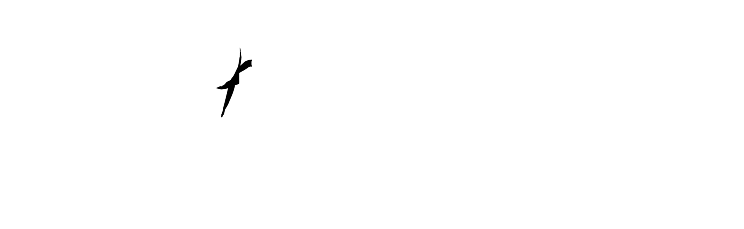 Fort Lauderdale Self Defense