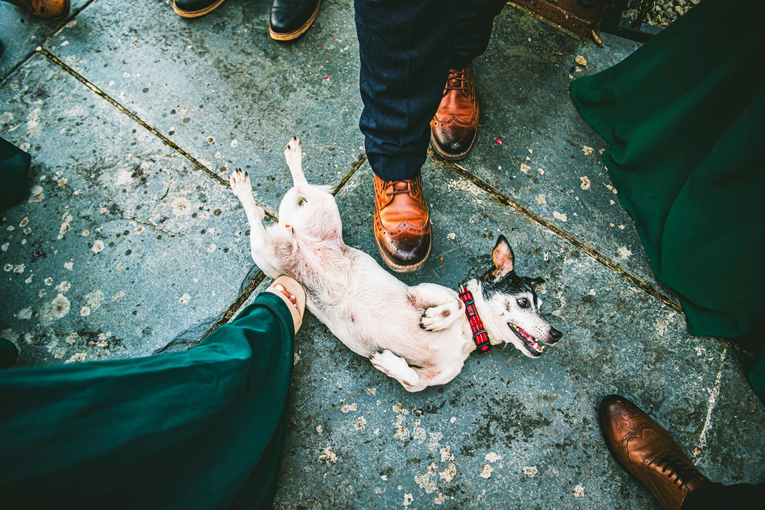 Mr & Mrs Sawyers-512(1).jpg