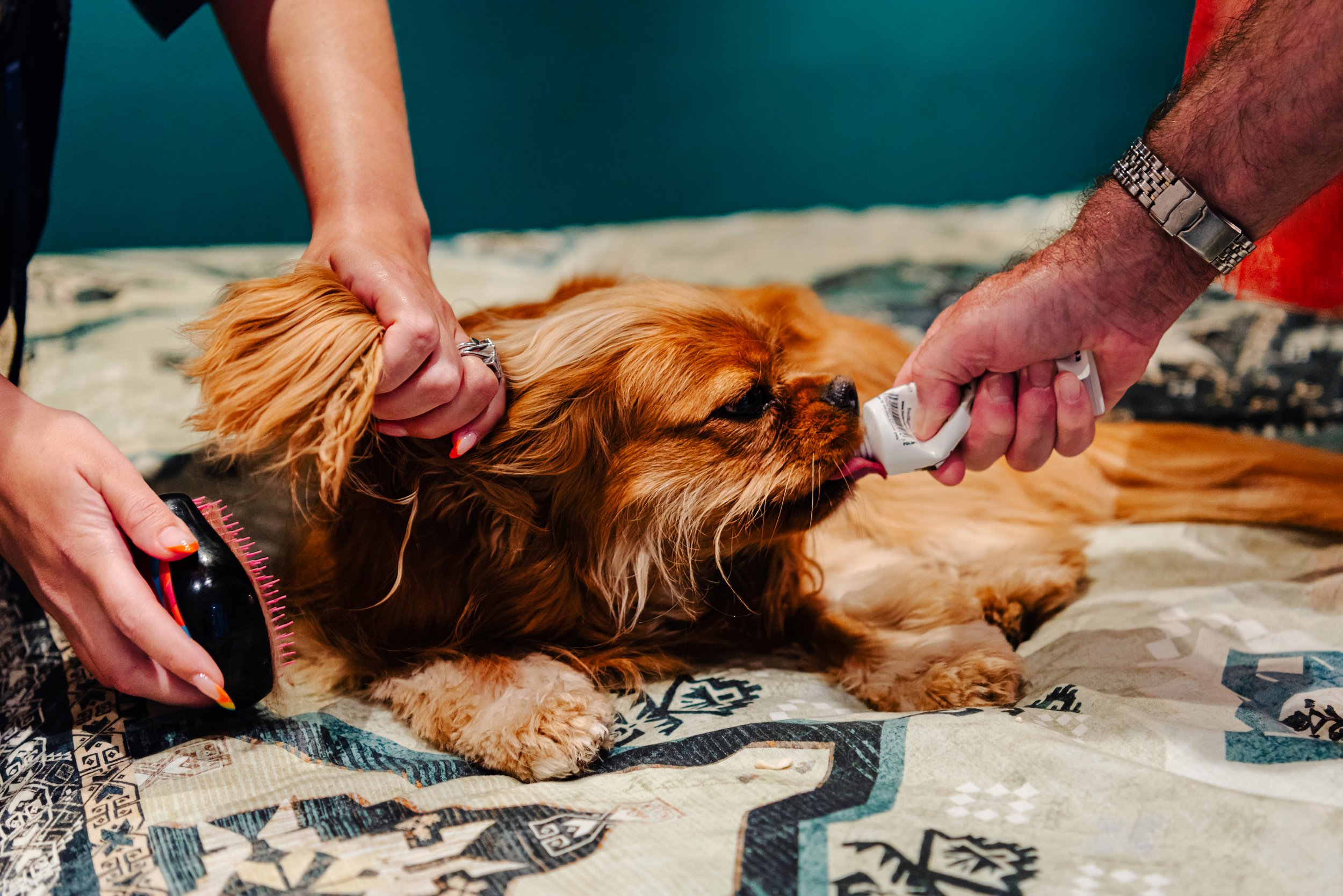 Mr & Mrs Grey-27(1).jpg