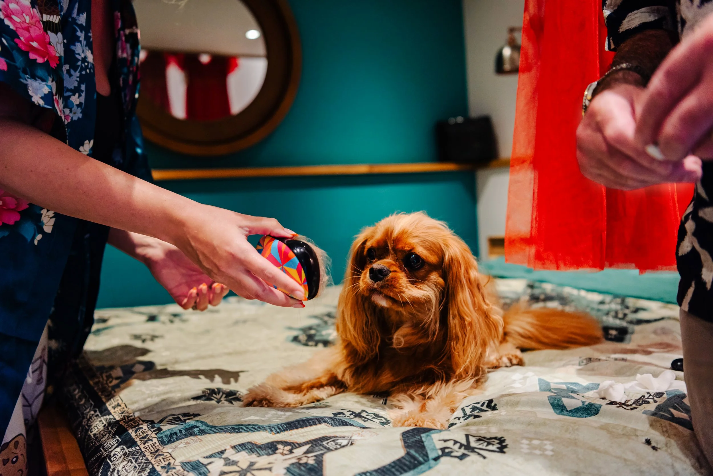 Mr & Mrs Grey-28(1).jpg