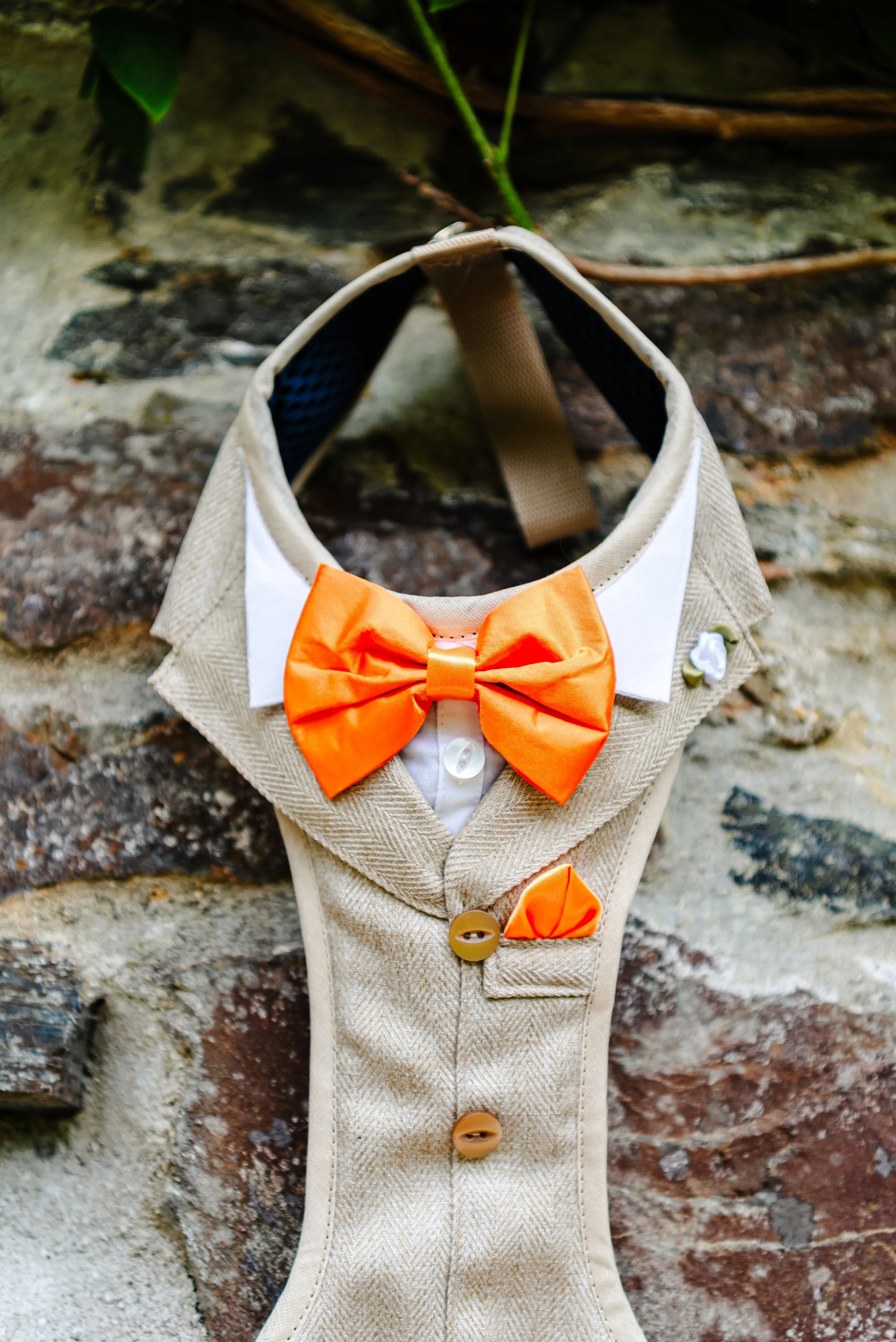 Mr & Mrs Grey-49(1).jpg