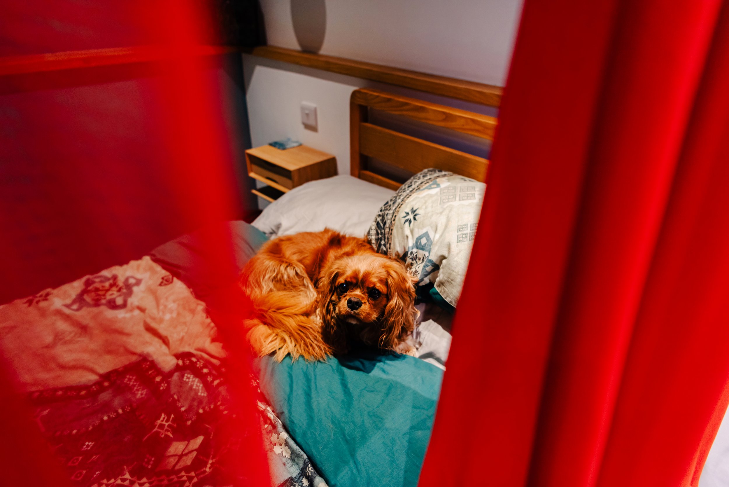 Mr & Mrs Grey-64(1).jpg