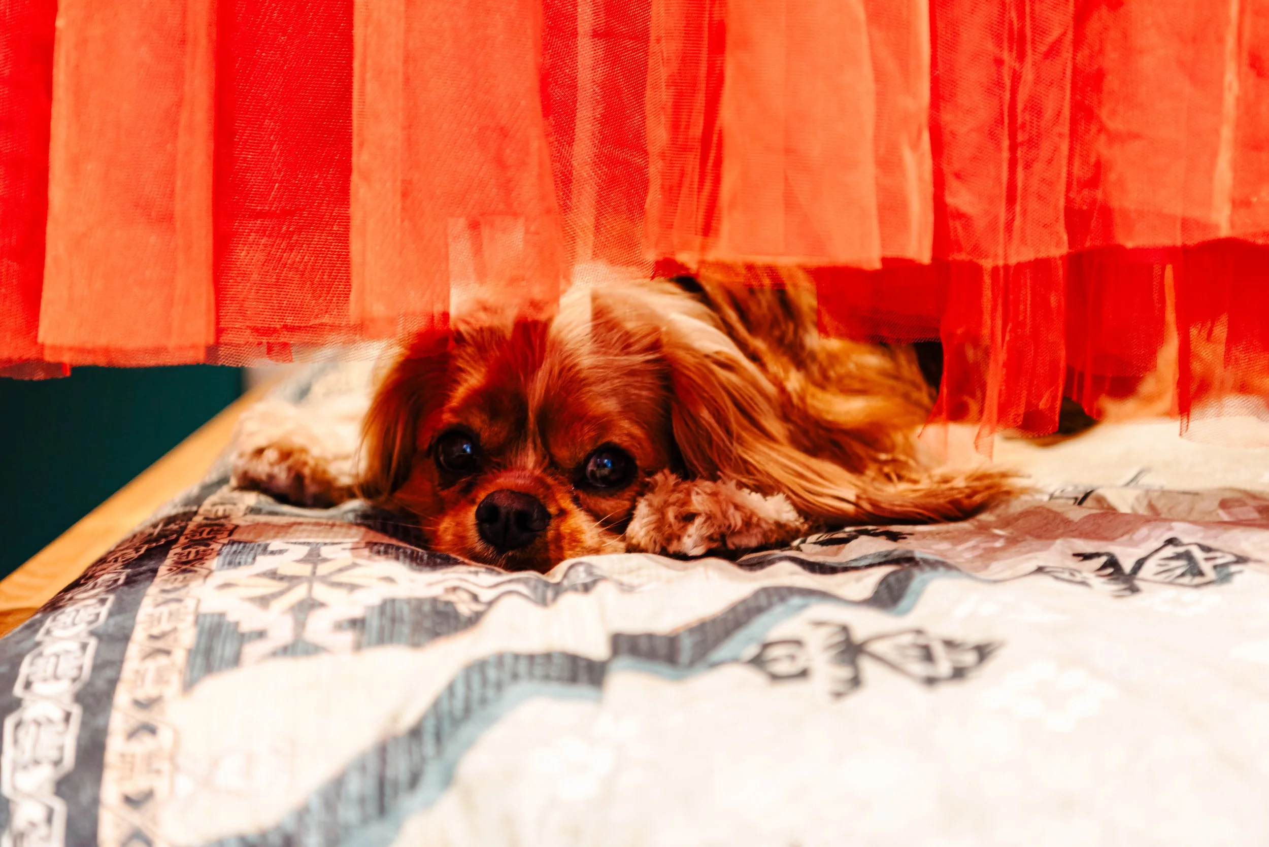 Mr & Mrs Grey-77(1).jpg