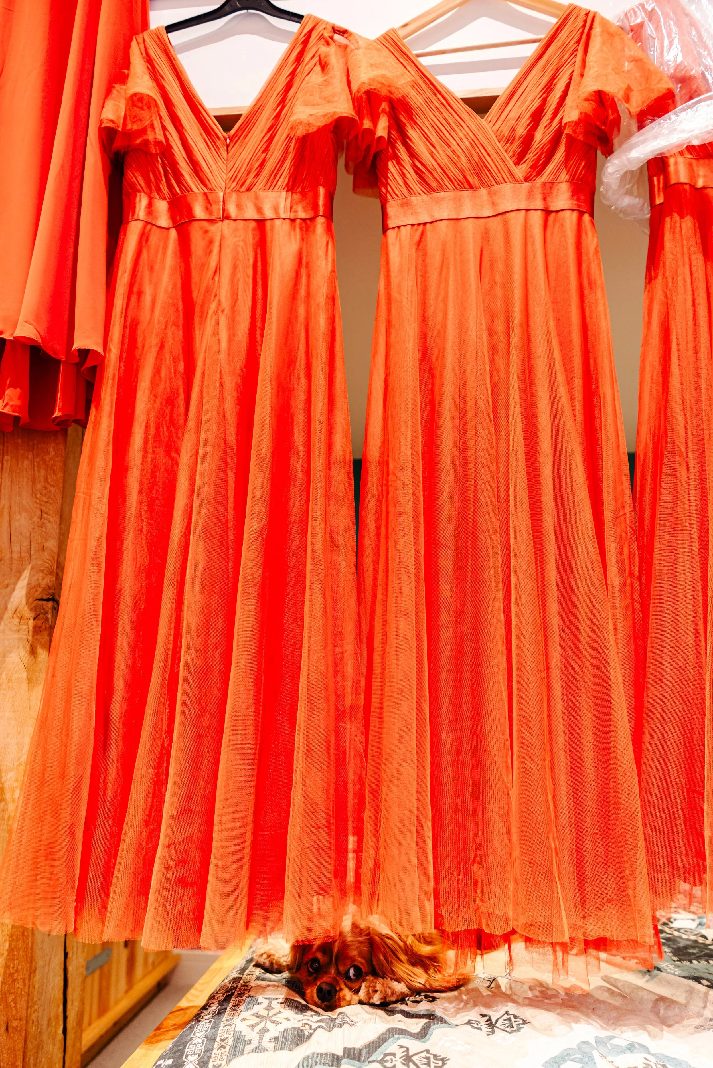 Mr & Mrs Grey-78(1)smaller.jpg