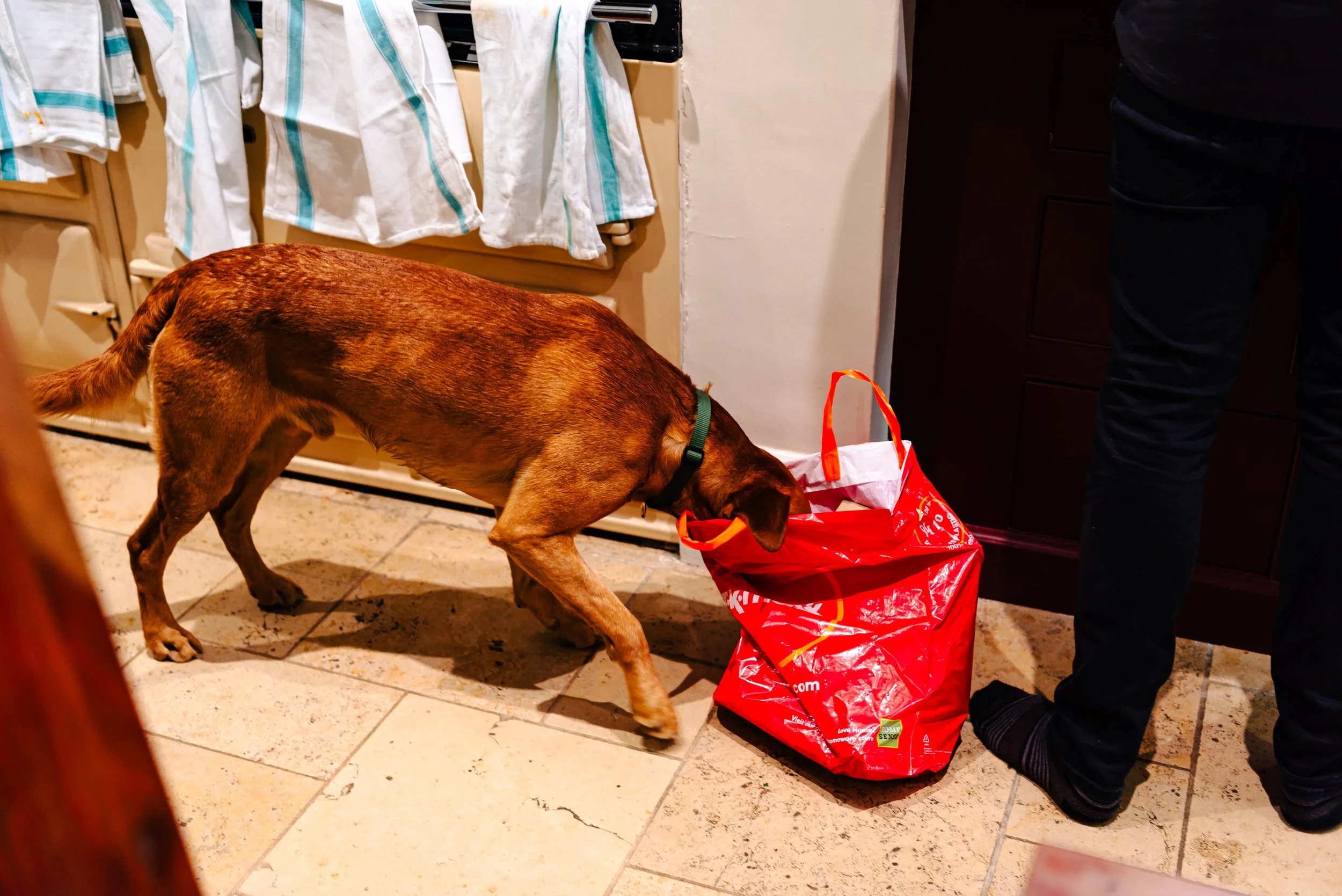 Sarah & Jon-52(1).jpg