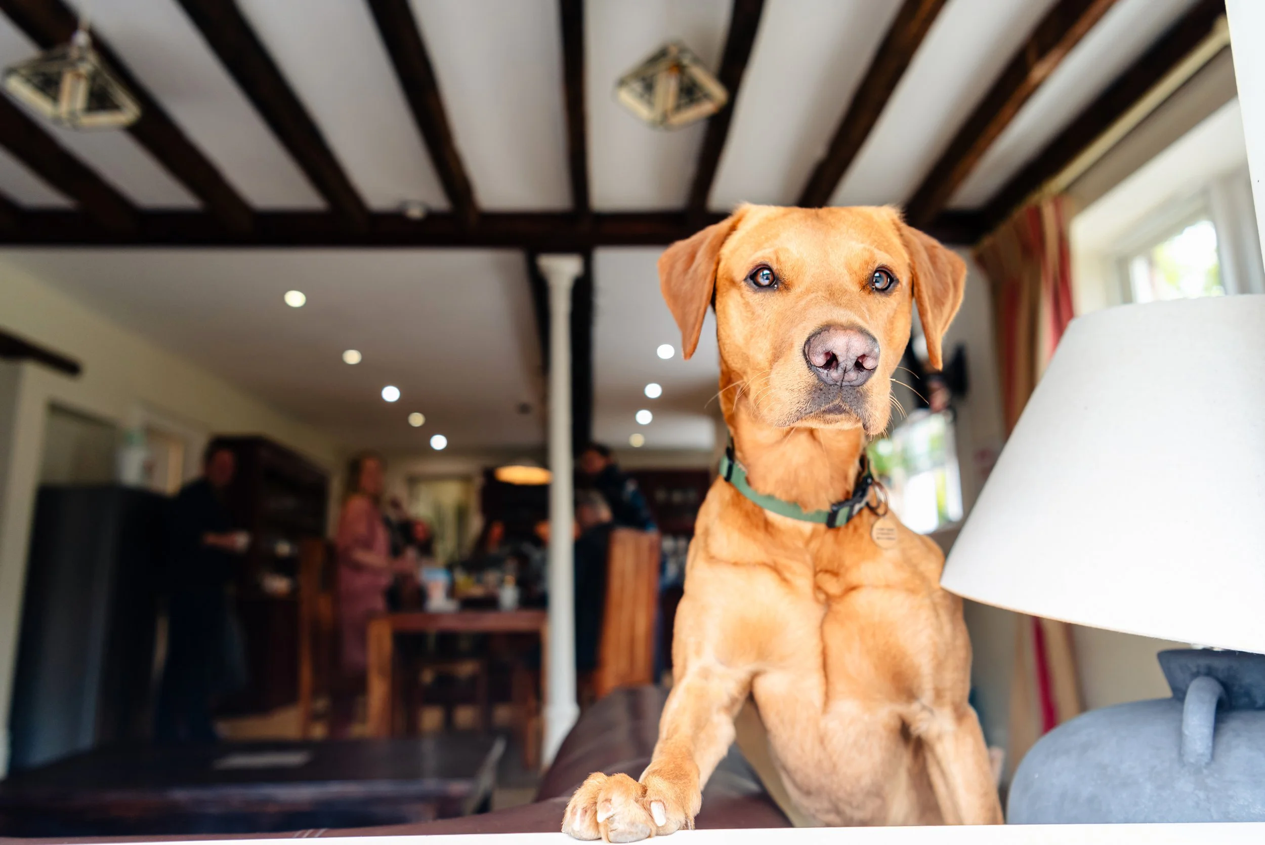 Sarah & Jon-87(1).jpg