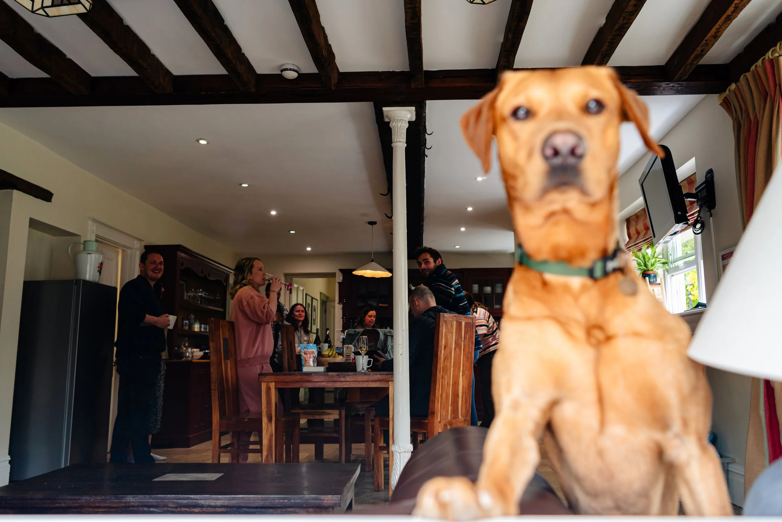 Sarah & Jon-89(1).jpg