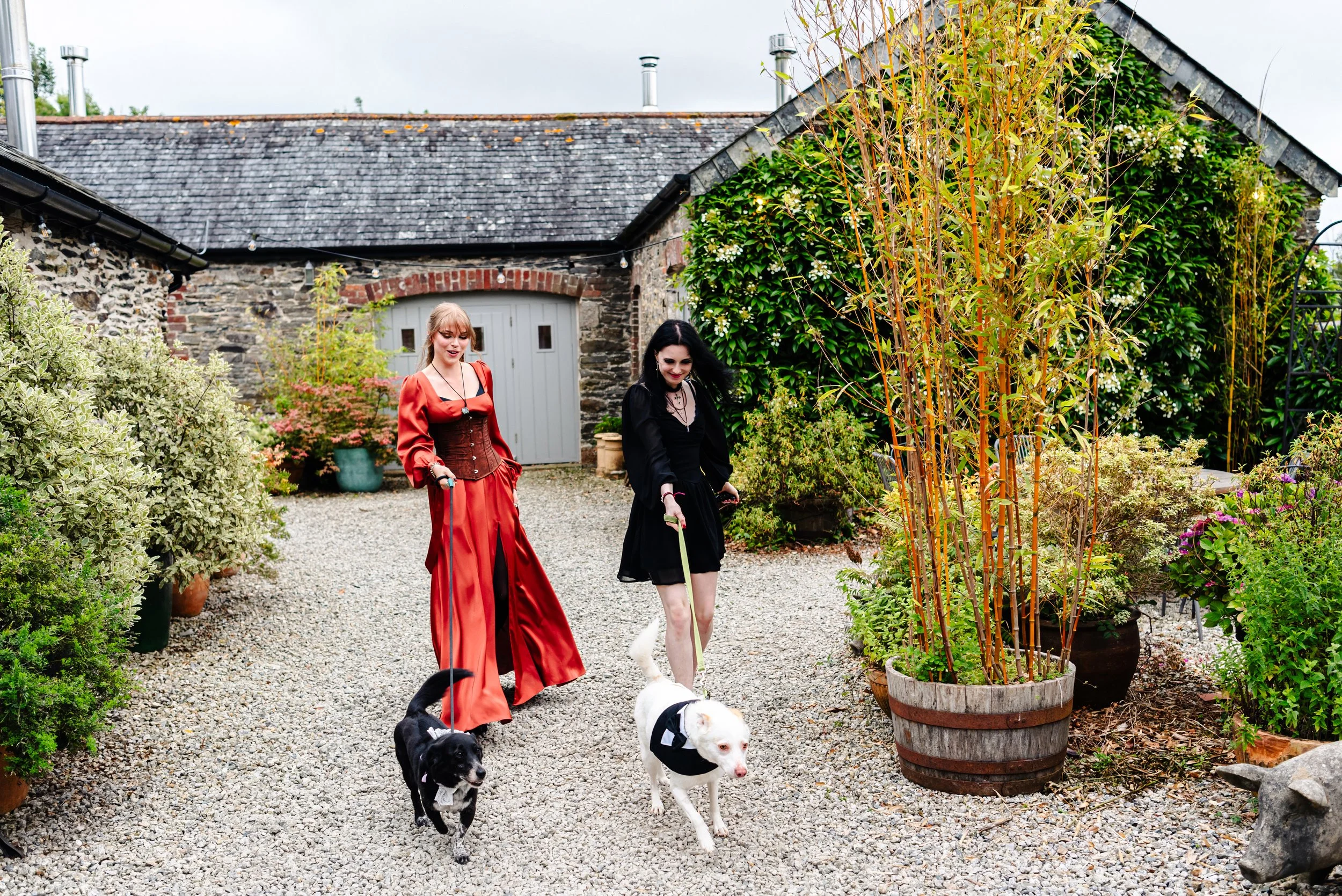 Beth & Dom Wedding-557(1).jpg