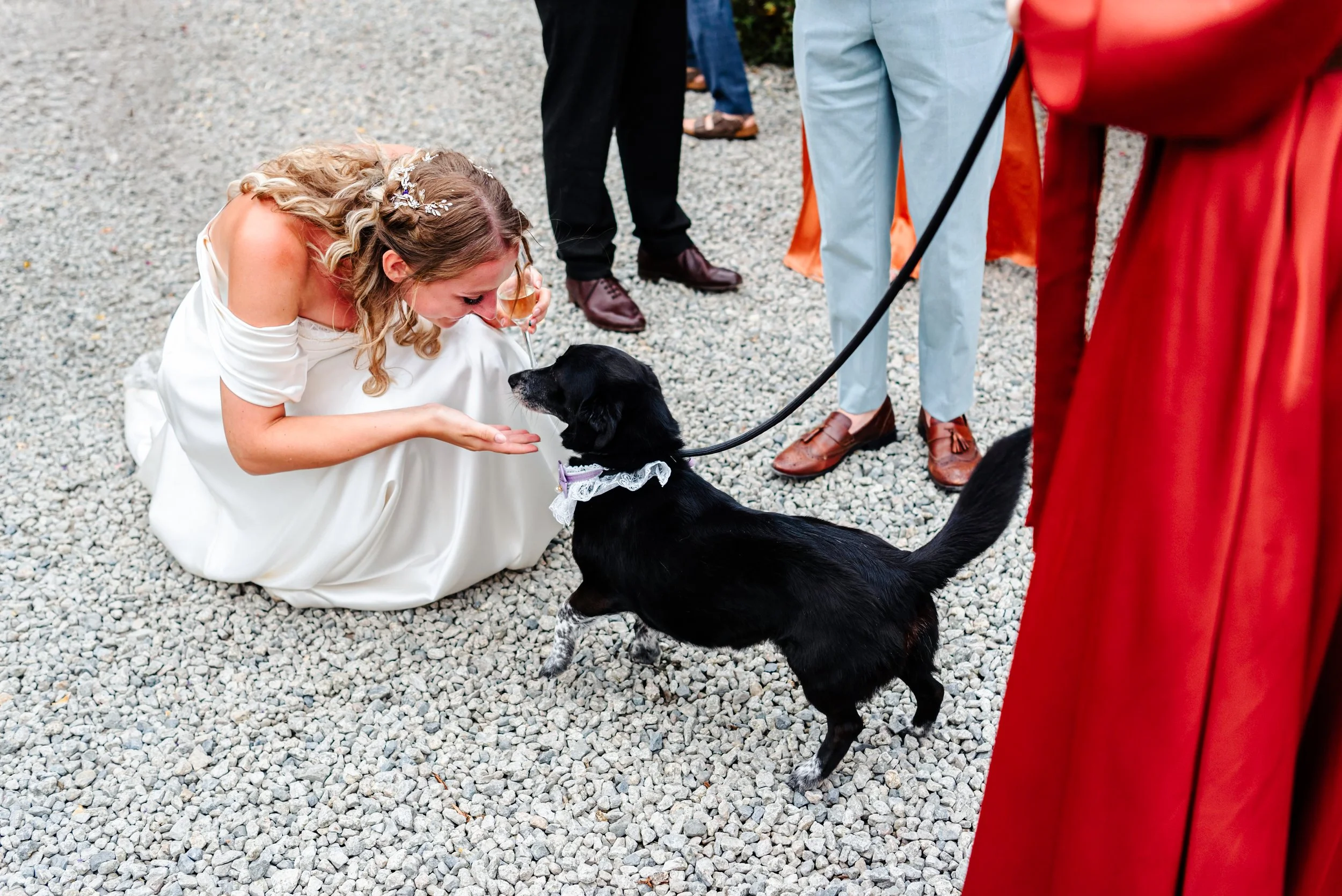 Beth & Dom Wedding-559(1).jpg