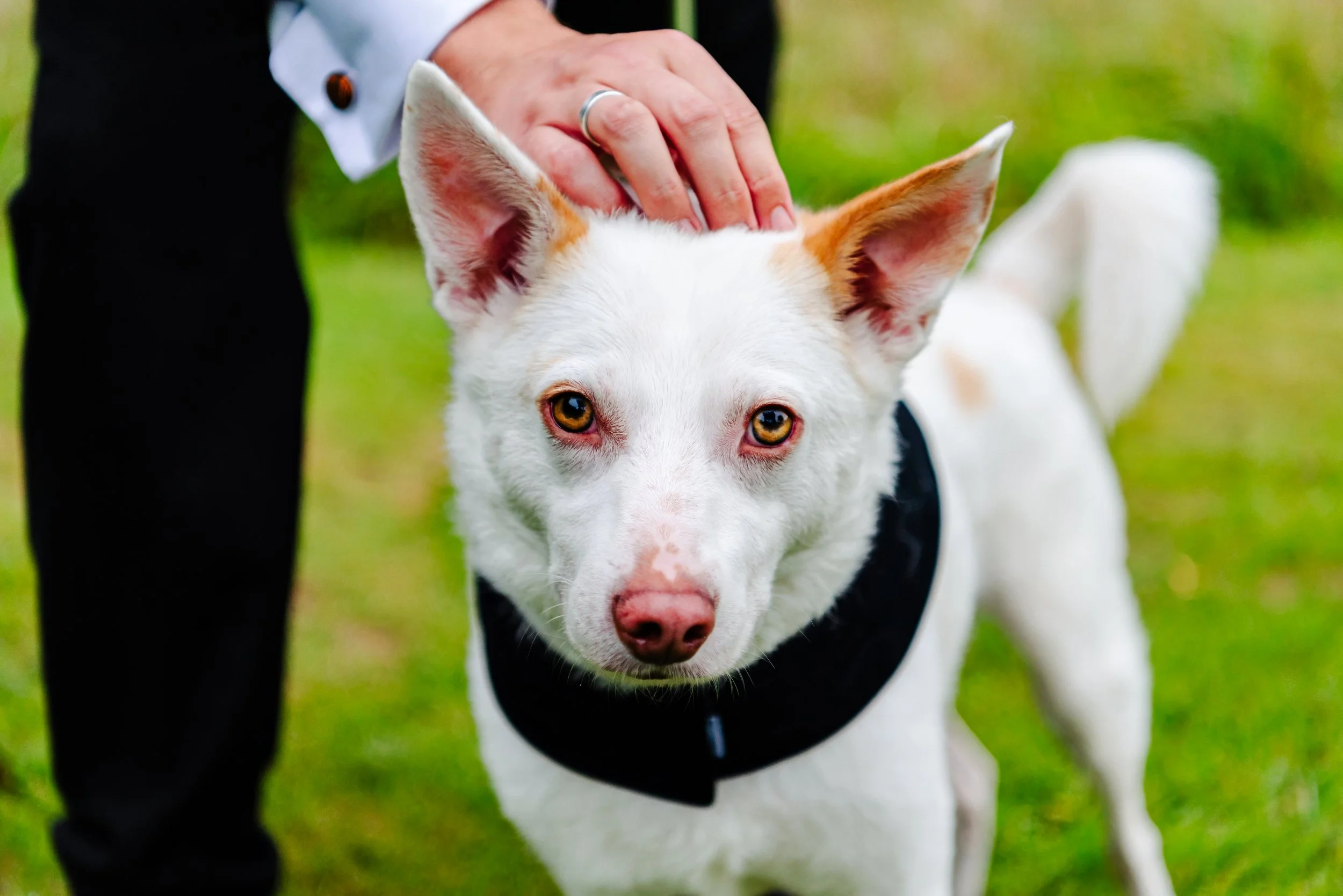 Beth & Dom Wedding-580(1).jpg