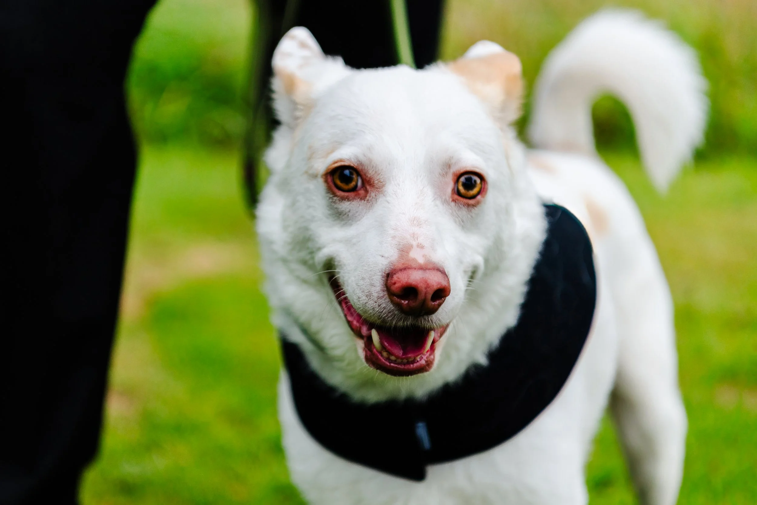 Beth & Dom Wedding-582(1).jpg