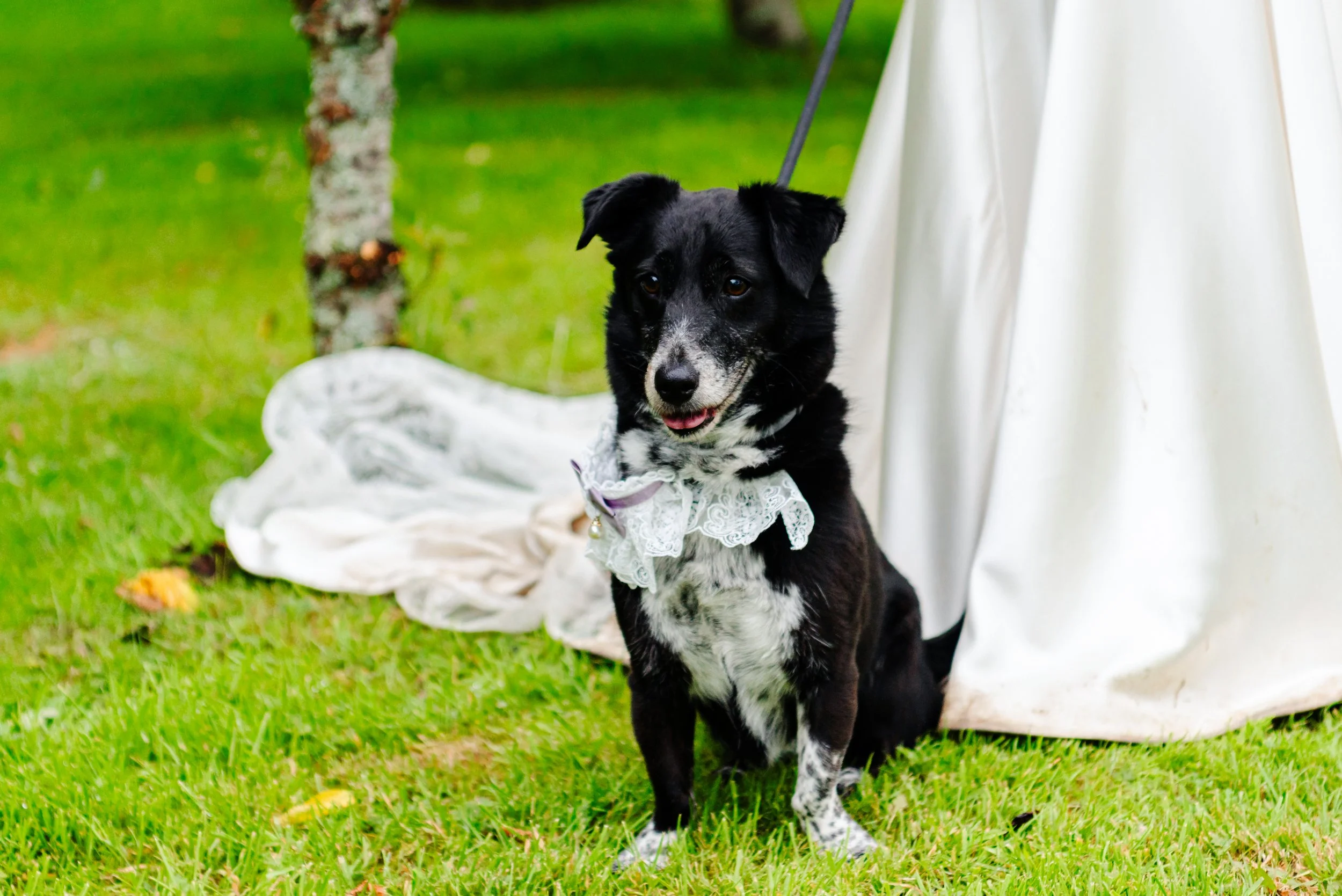 Beth & Dom Wedding-586(1).jpg