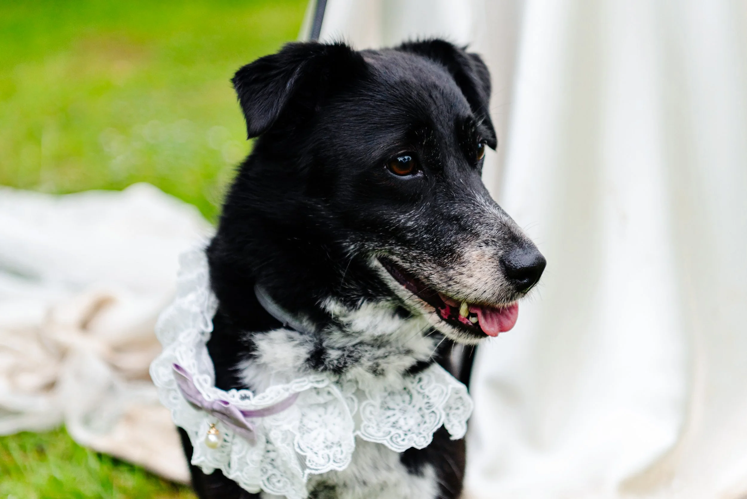 Beth & Dom Wedding-587(1).jpg