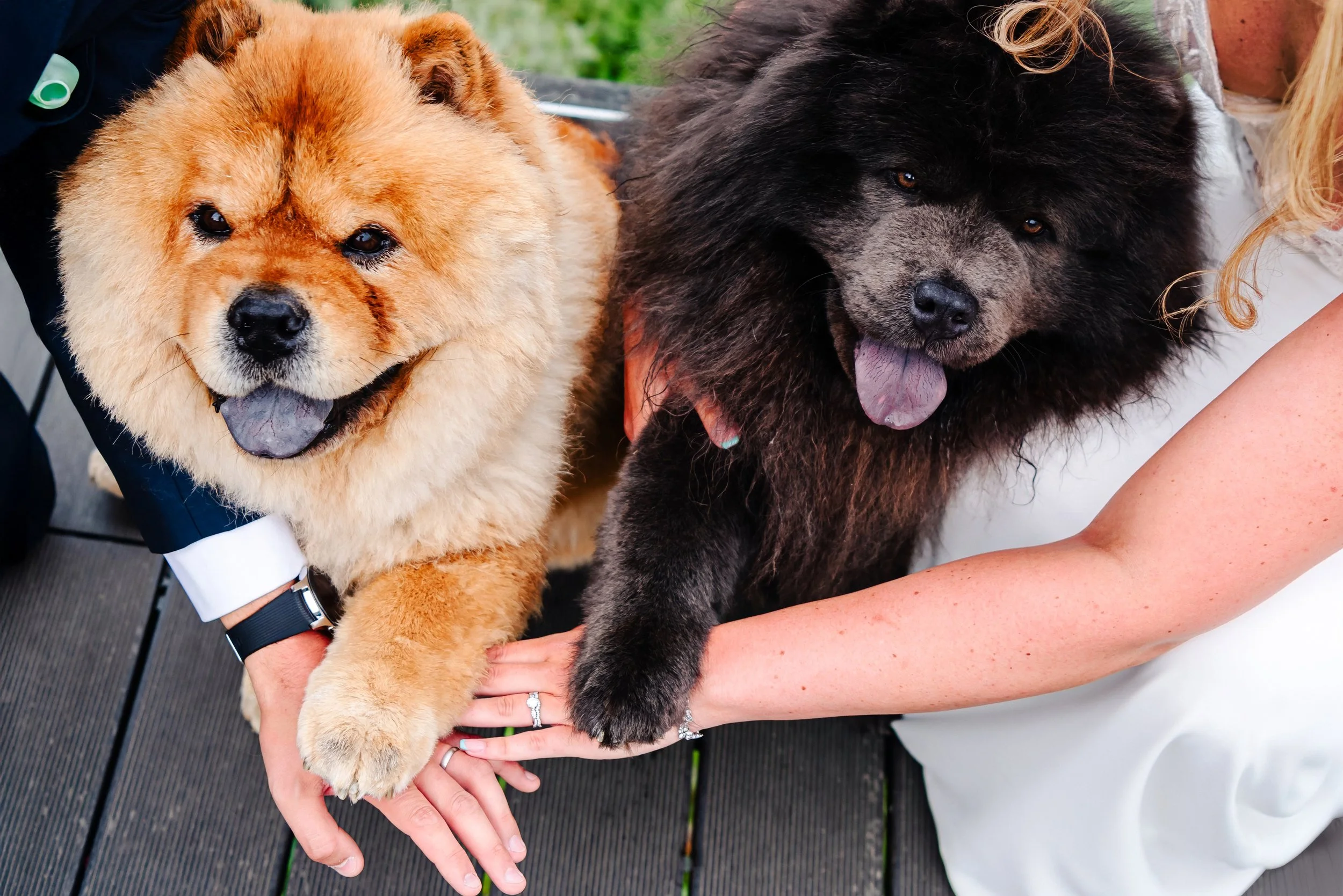 Paige & David Previews-20(1).jpg