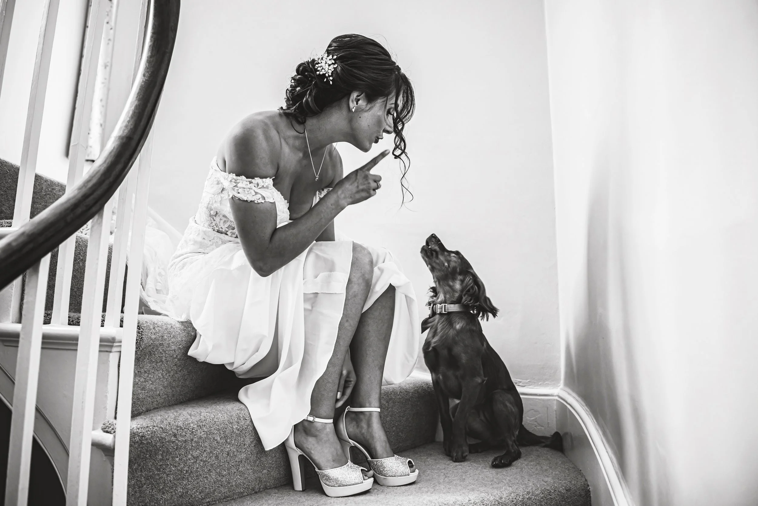 Candid wedding photography in Devon, Southwest UK. Funny Candid wedding moments captured by Cornwall wedding photographer, Devon Wedding Photographer. Dogs at Weddings.