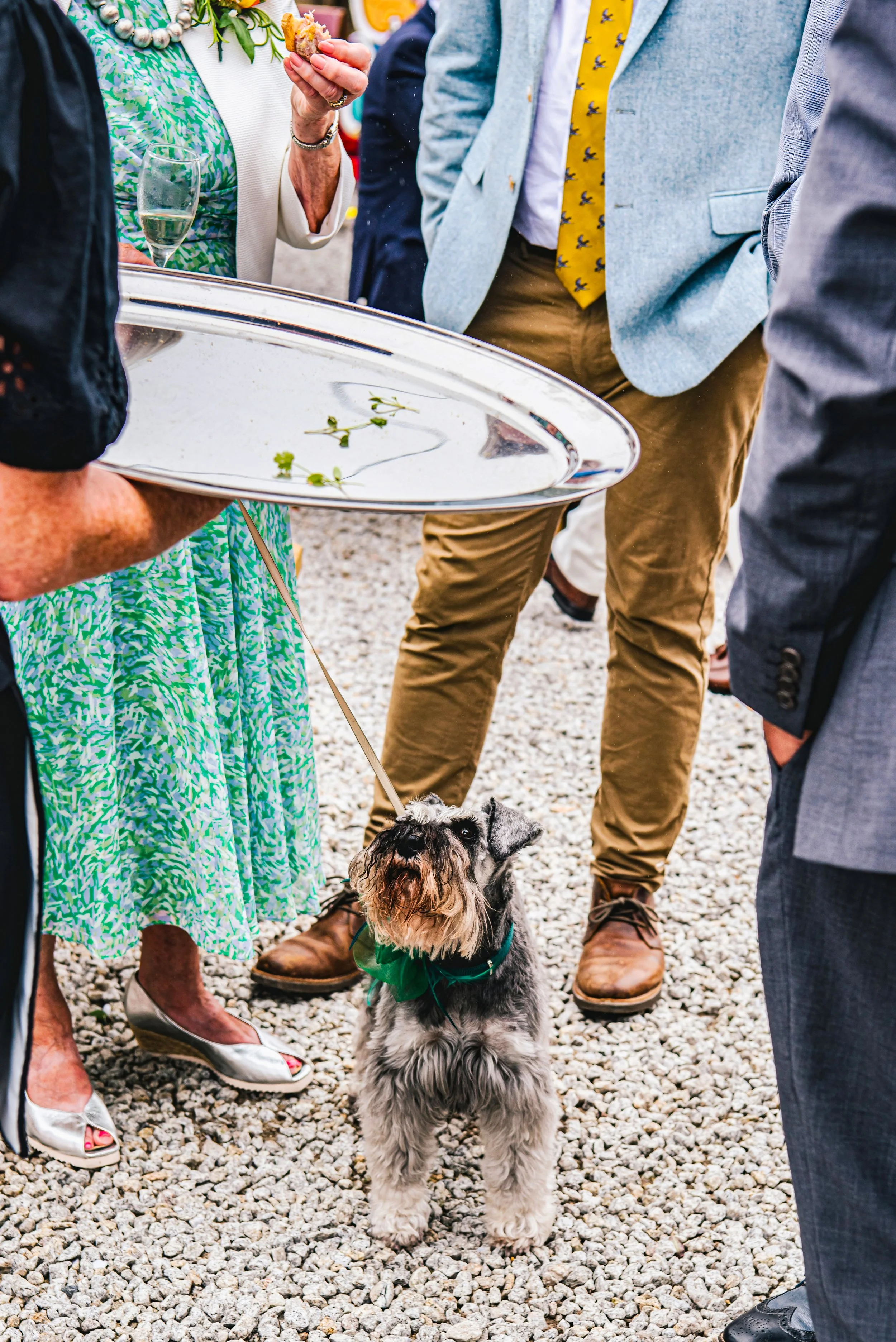 Mr & Mr Dundon-Knight-229(1).jpg