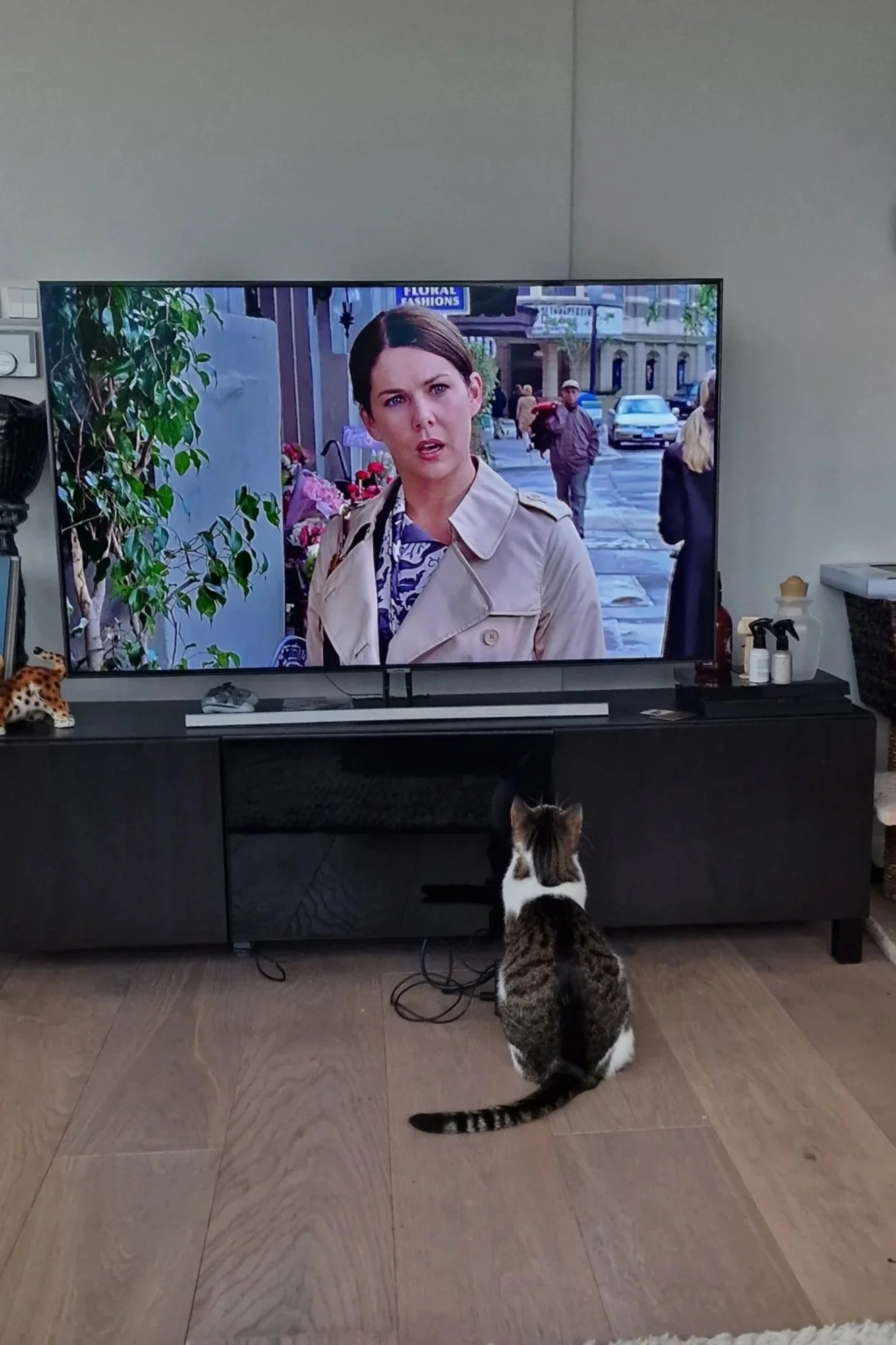 Gilmore girls cat