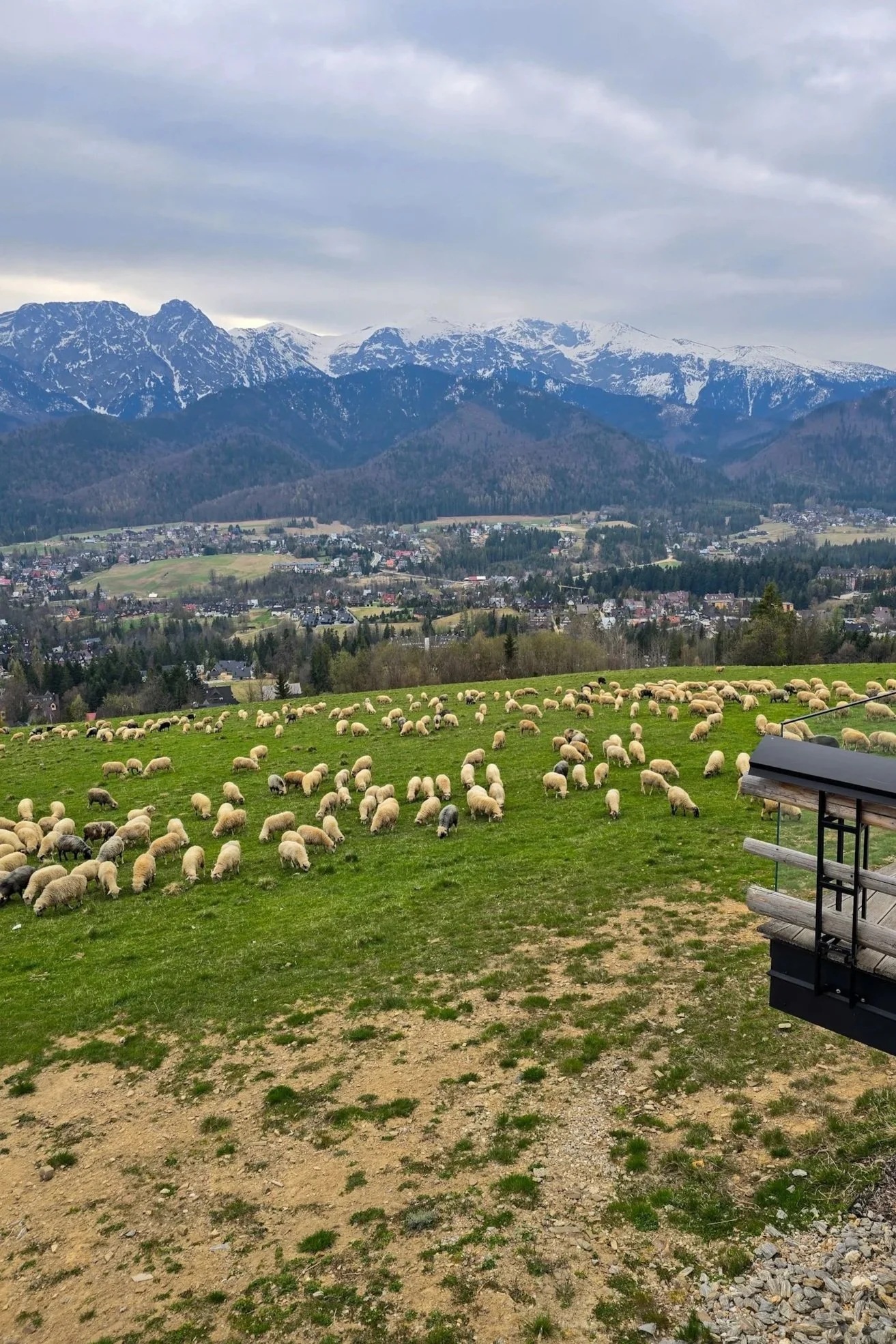 Zakopane Summer Travel Guide: What to See, Do &amp; Stay
