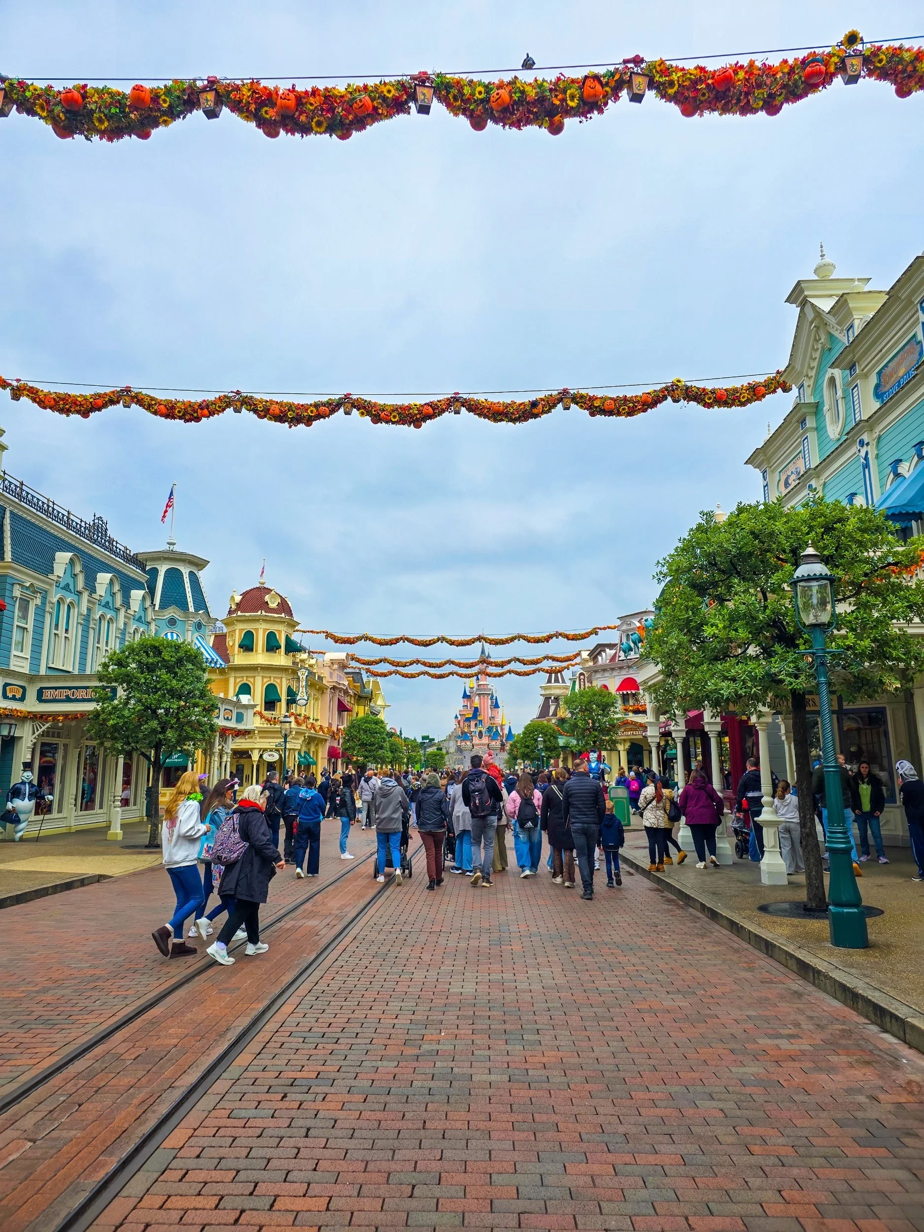 processed_20250925_120310 (1).jpg