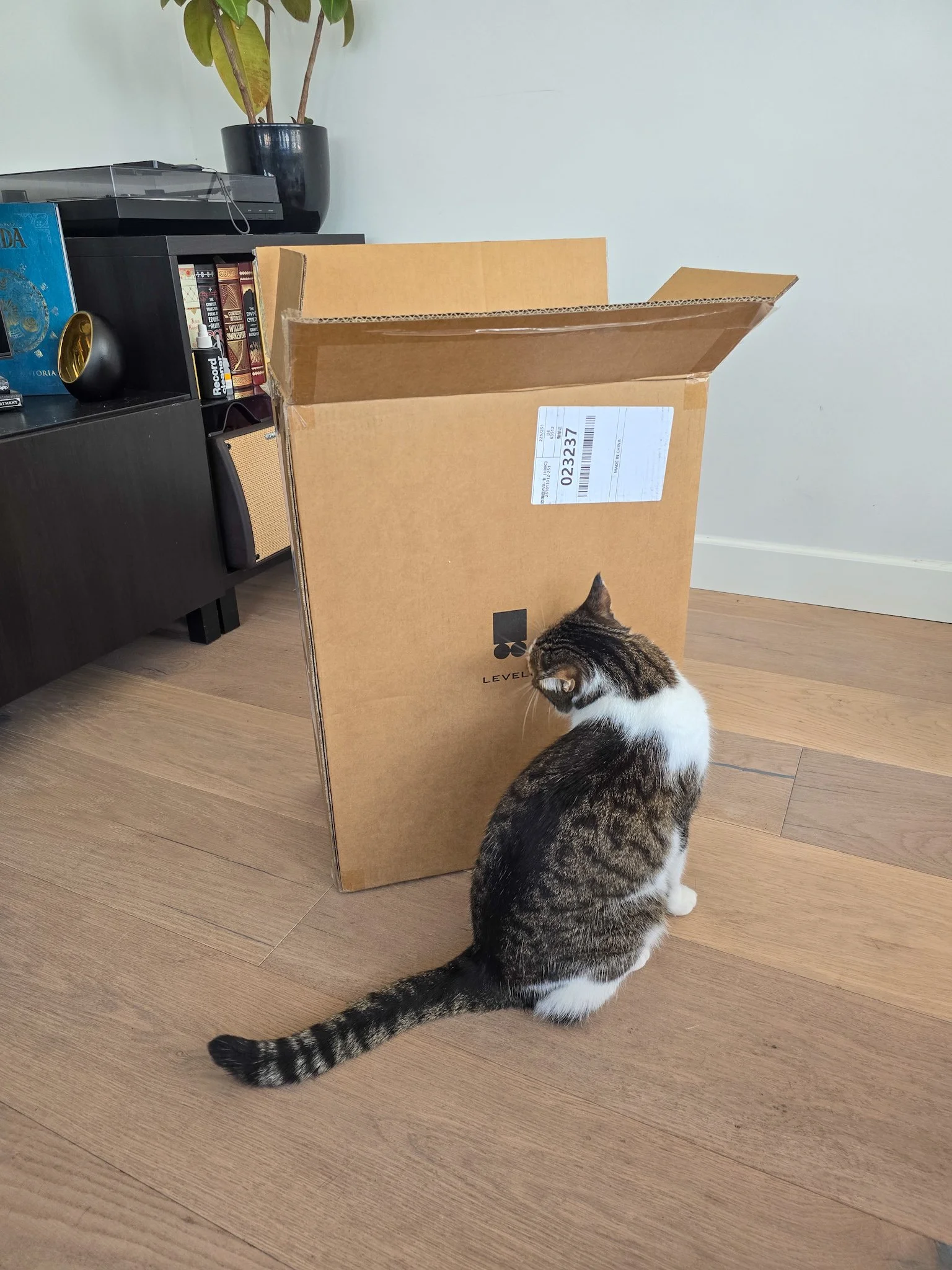 Level8 Gibraltar Carry-On Shipping Box