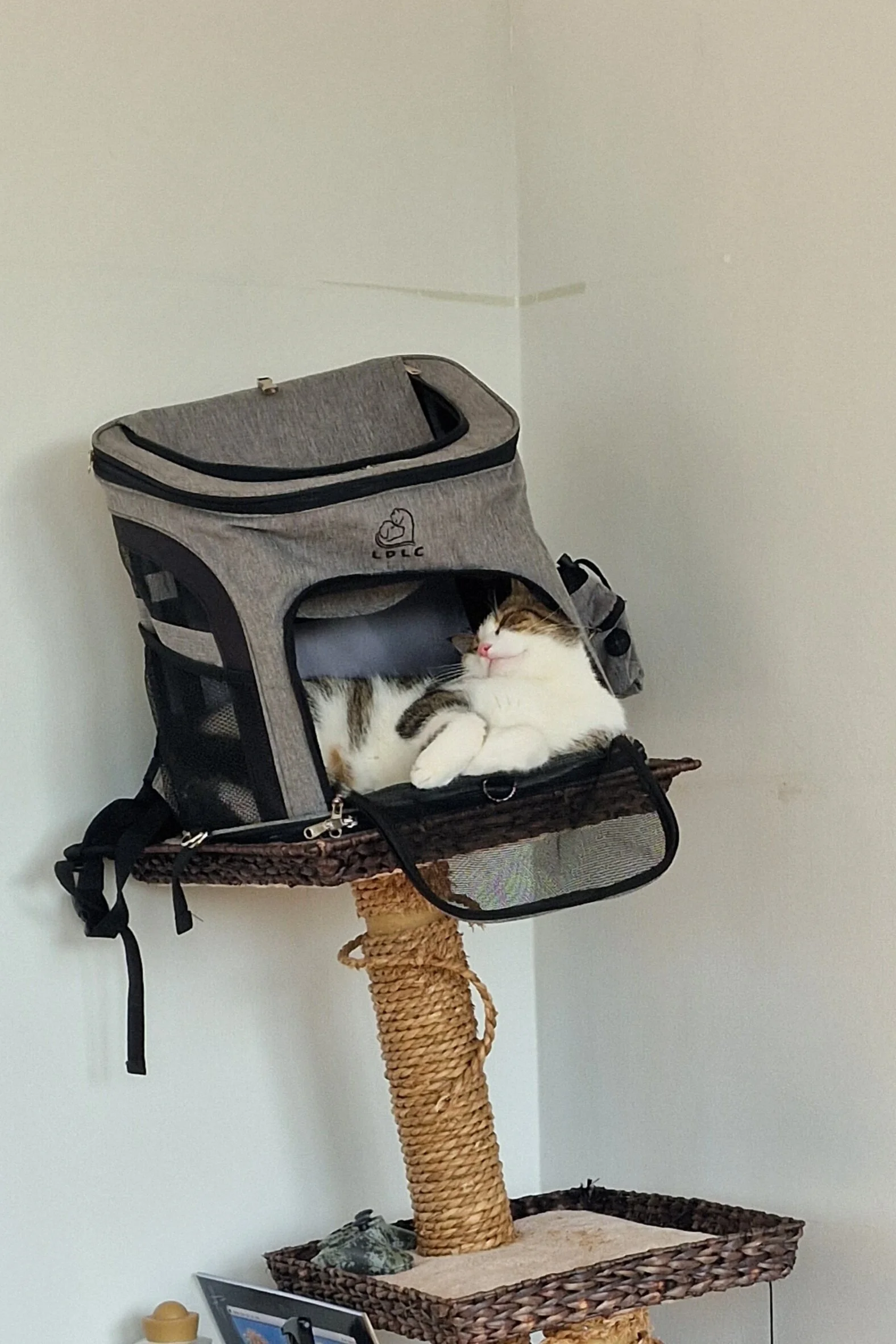 Cat Carrier Backpack