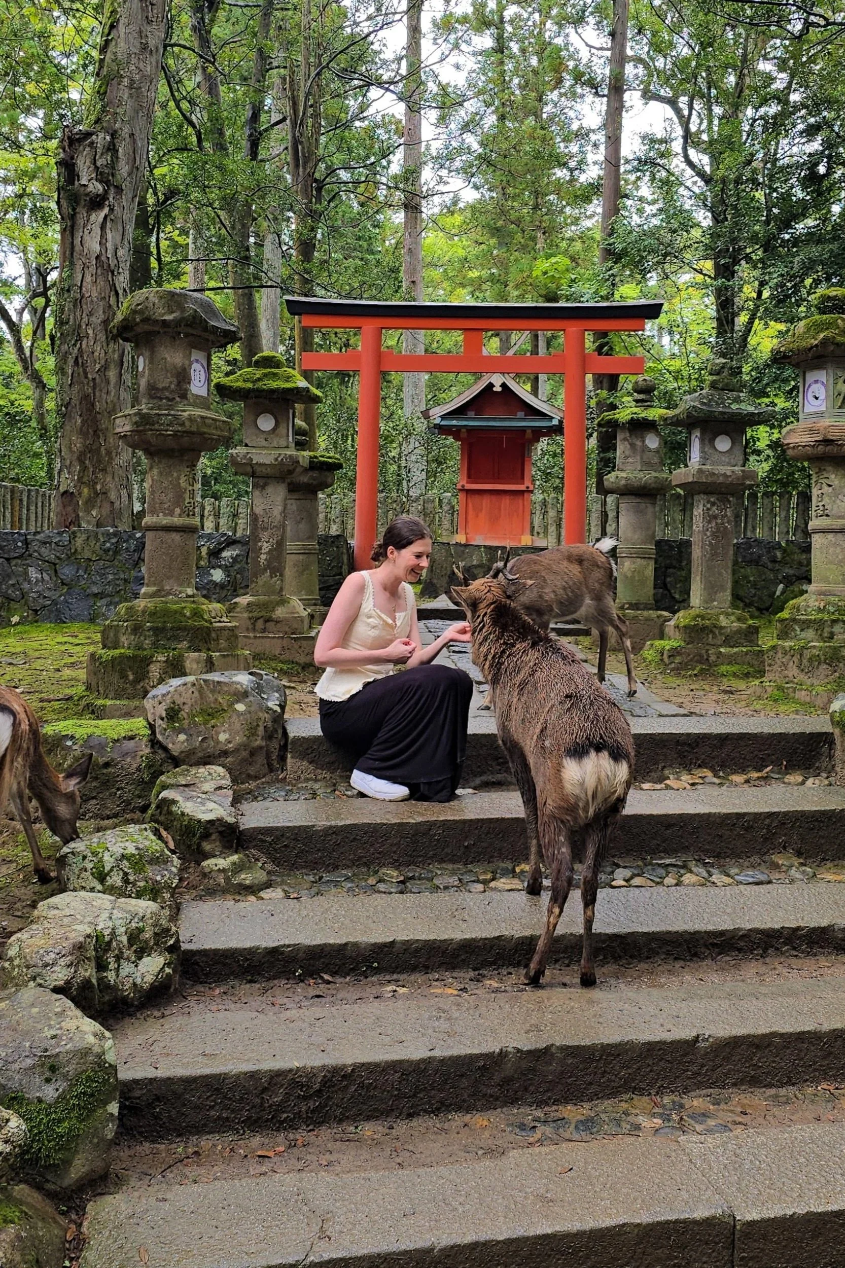 Nara Deer Park