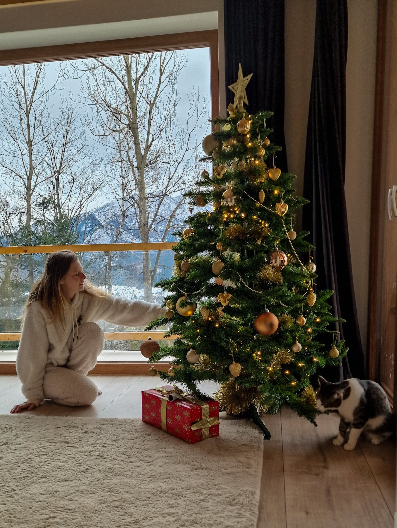 Christmas Tree and Mountain View in Zakopane