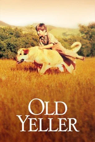 “So should we rent Old Yeller too or is that just a guy's crying movie.”