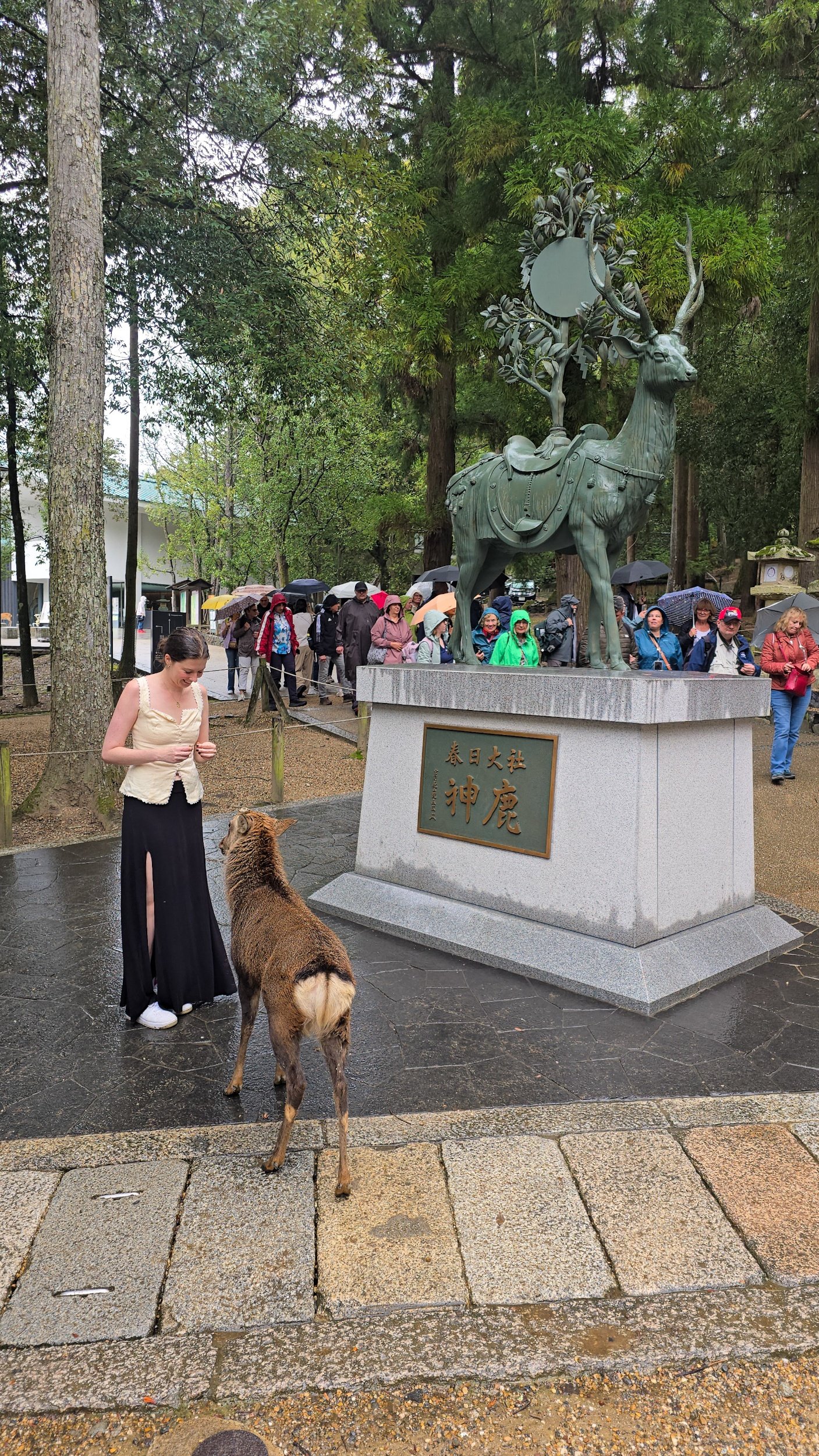 processed_20261004_111358.jpg